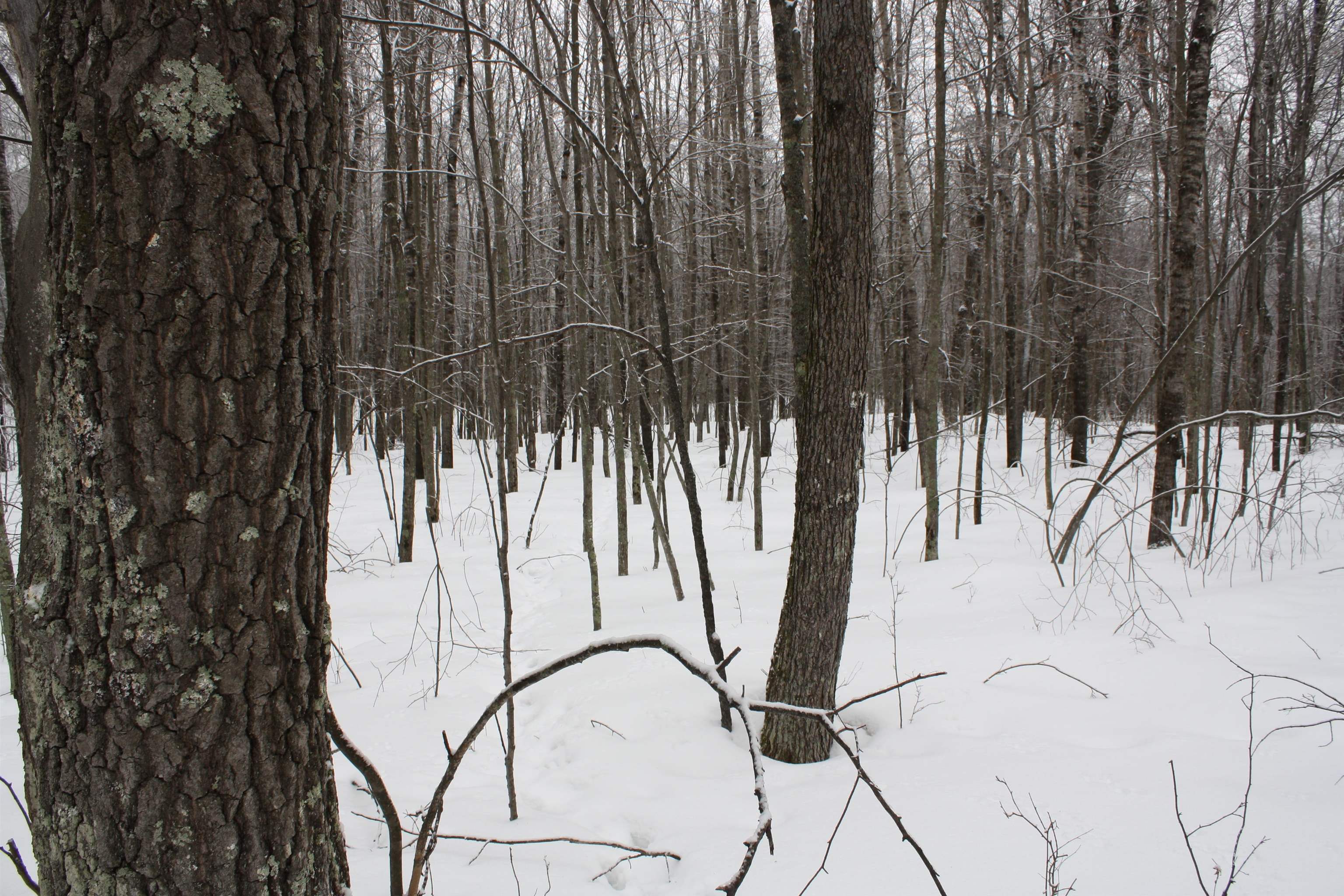 On W Rapids Lake Tomahawk, WI 54539 - Photo 26 of 56