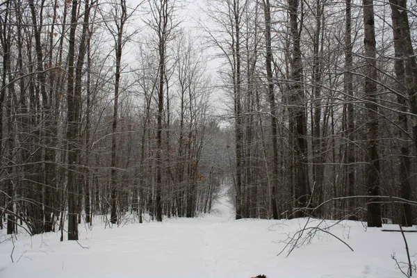 $600,000 | On W Rapids, Lake Tomahawk, WI 54539
