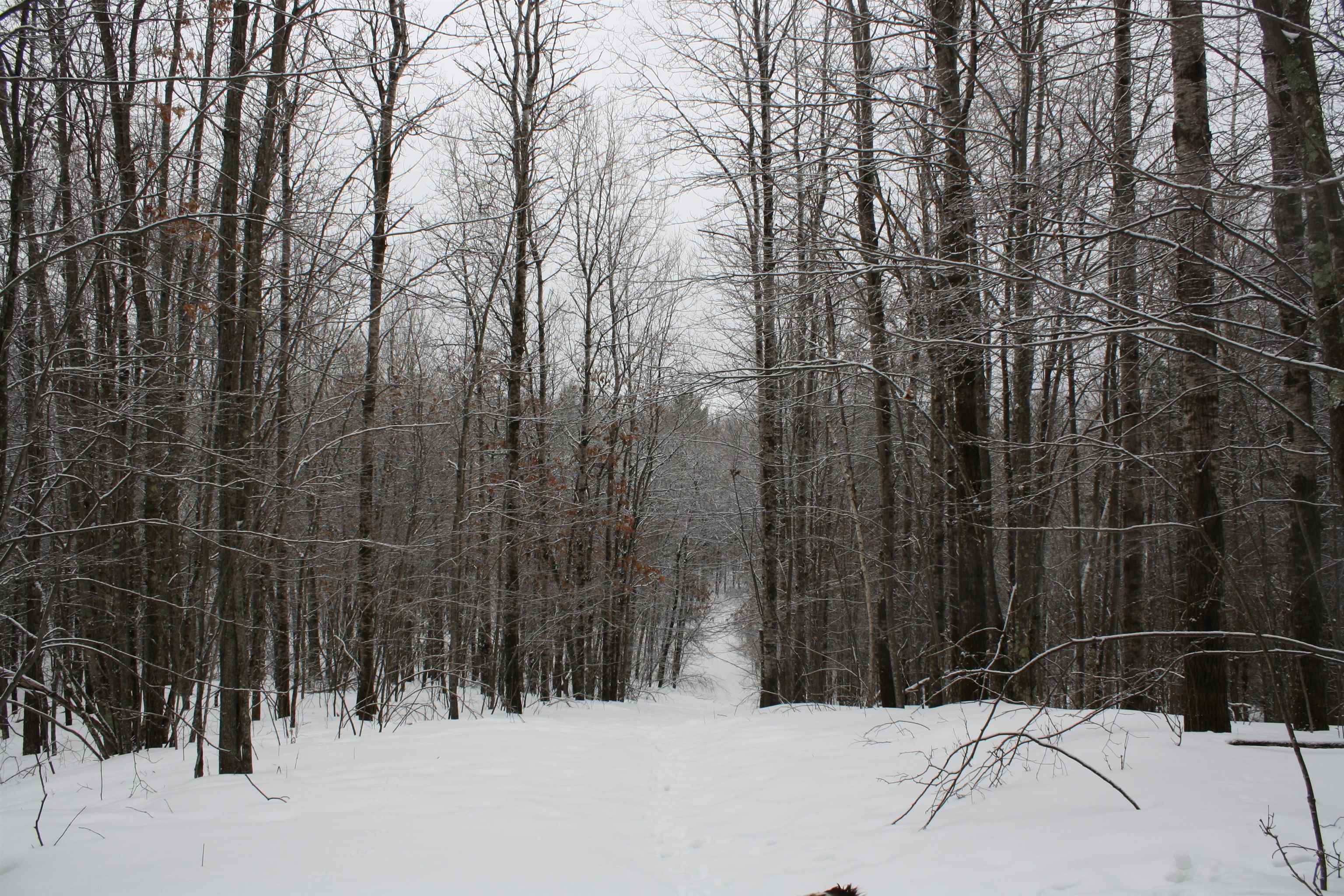 On W Rapids Lake Tomahawk, WI 54539 - Photo 28 of 56
