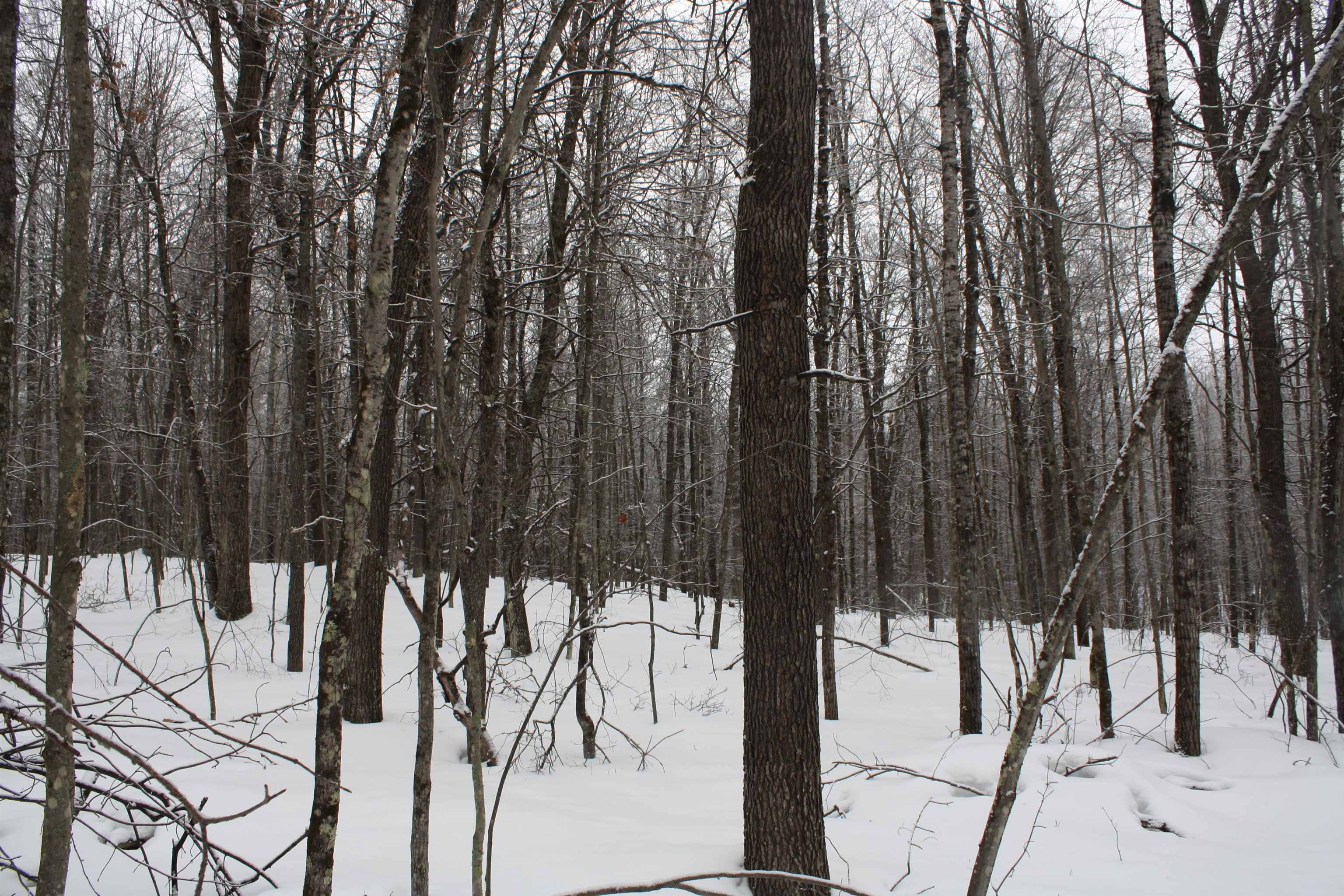 On W Rapids Lake Tomahawk, WI 54539 - Photo 29 of 56