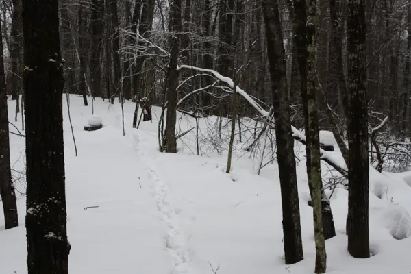$600,000 | On W Rapids, Lake Tomahawk, WI 54539