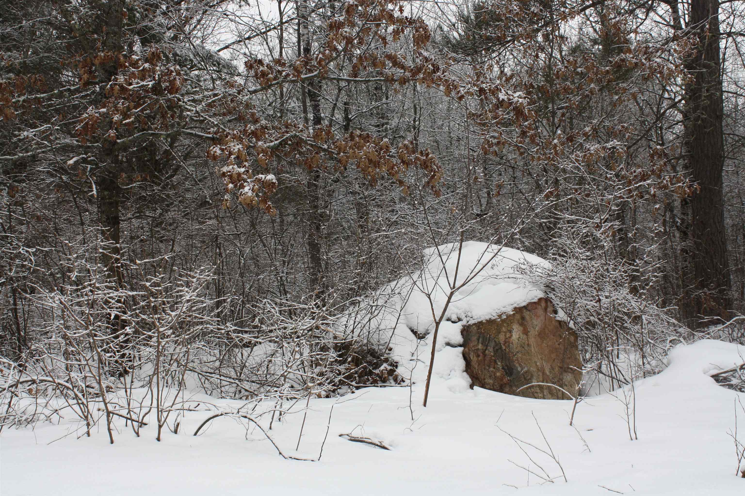 On W Rapids Lake Tomahawk, WI 54539 - Photo 32 of 56