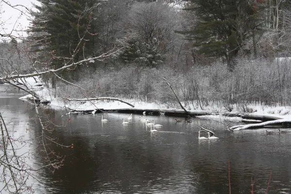 $600,000 | On W Rapids, Lake Tomahawk, WI 54539