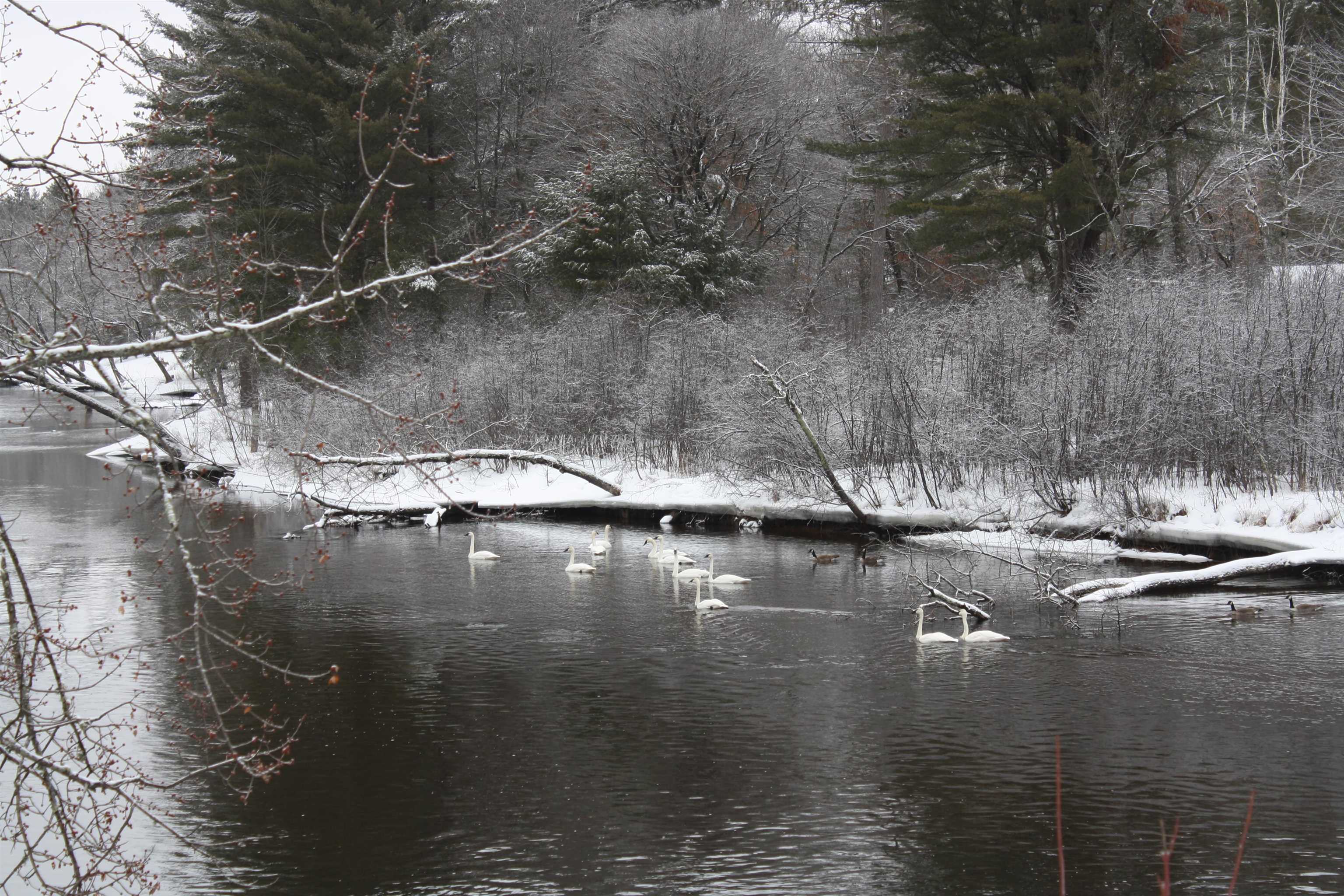 On W Rapids Lake Tomahawk, WI 54539 - Photo 34 of 56