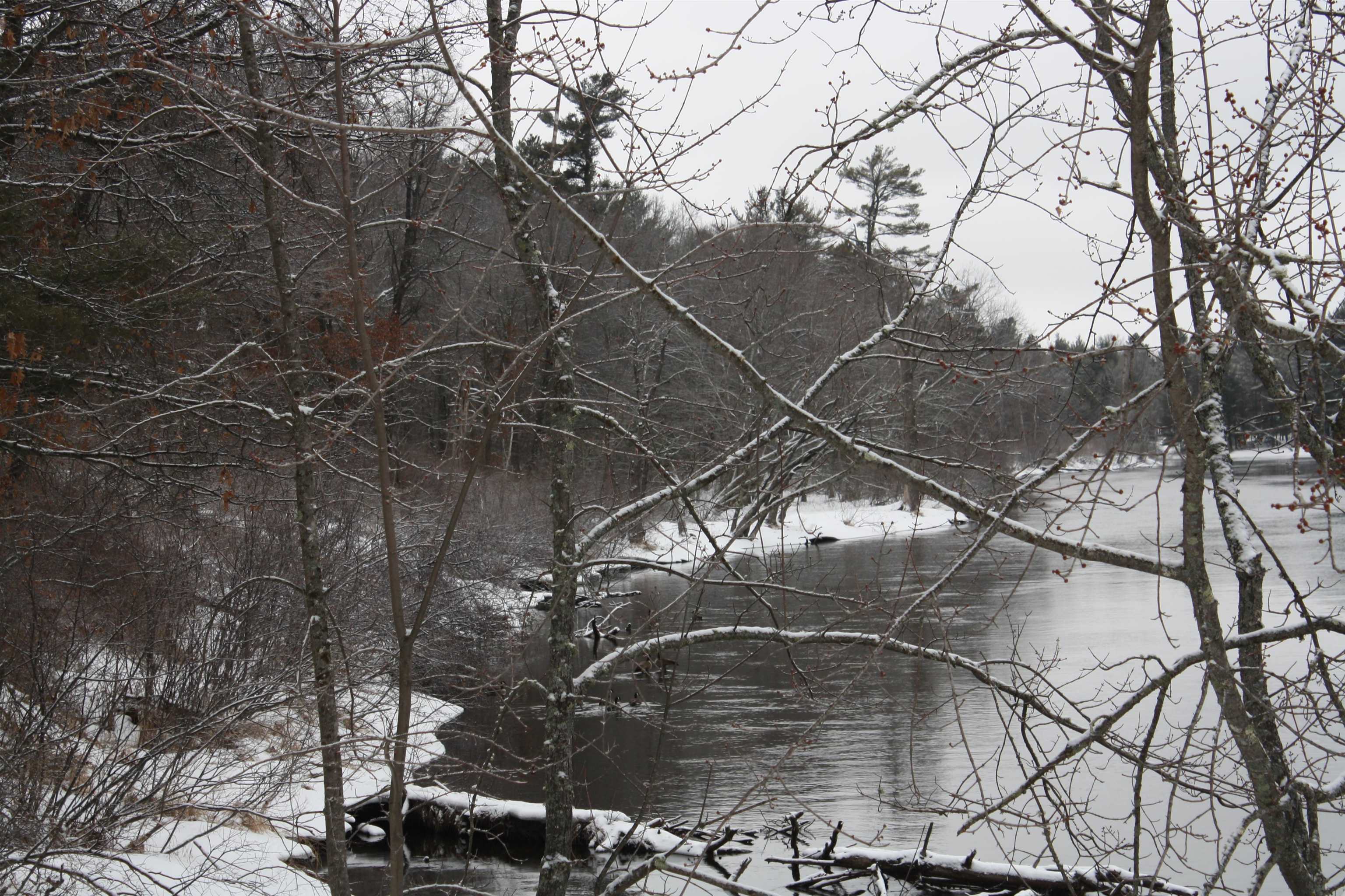 On W Rapids Lake Tomahawk, WI 54539 - Photo 35 of 56