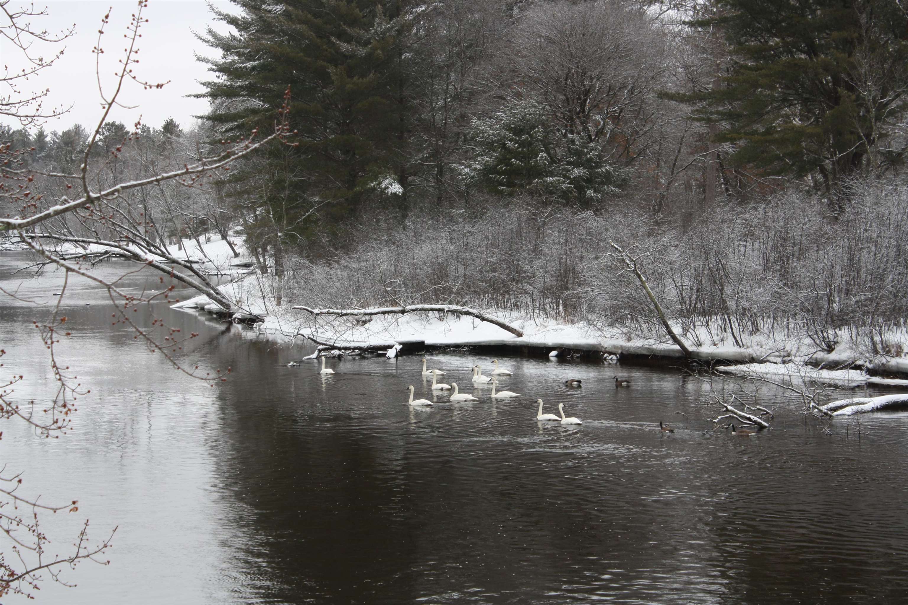 On W Rapids Lake Tomahawk, WI 54539 - Photo 36 of 56