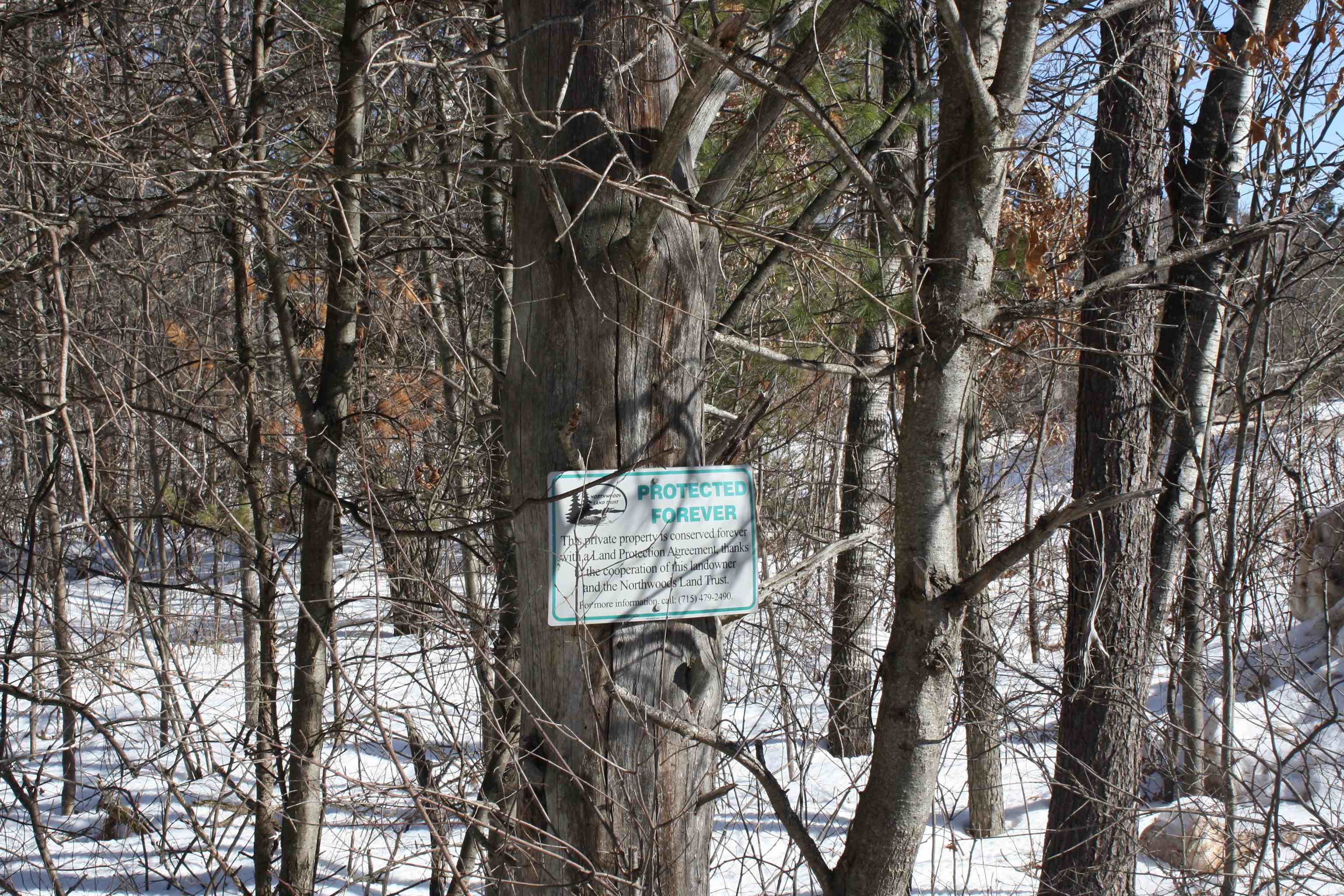 On W Rapids Lake Tomahawk, WI 54539 - Photo 38 of 56
