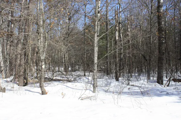 $600,000 | On W Rapids, Lake Tomahawk, WI 54539