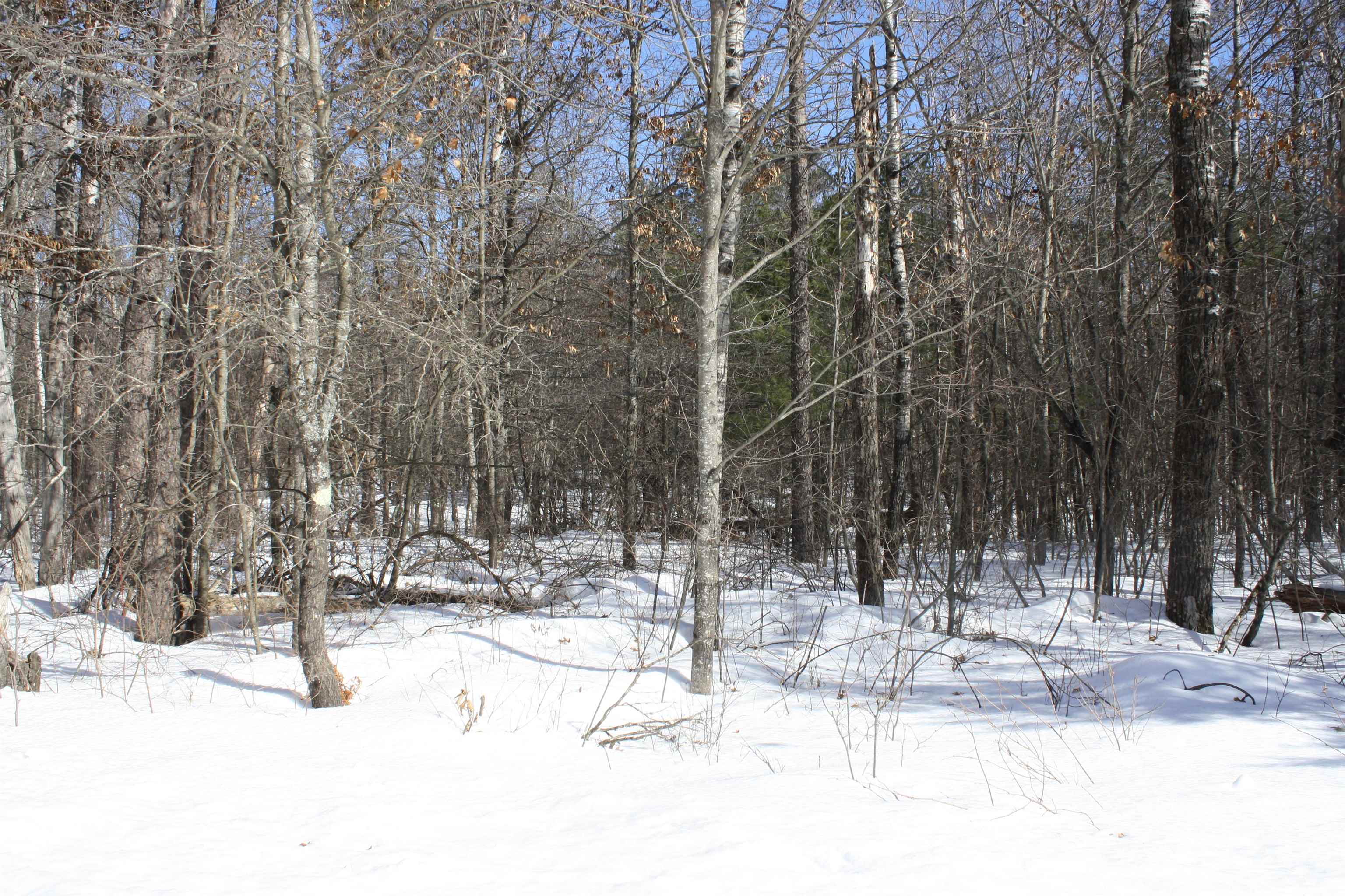 On W Rapids Lake Tomahawk, WI 54539 - Photo 40 of 56