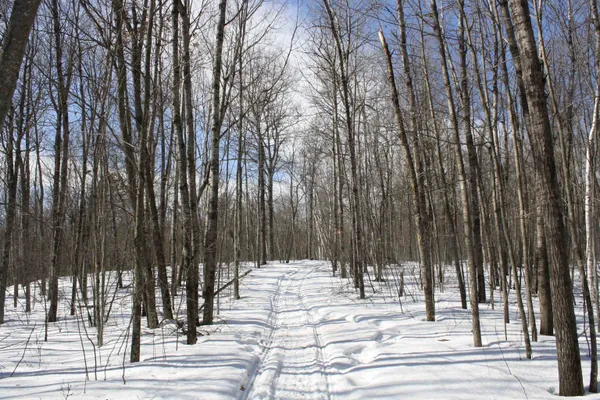 $600,000 | On W Rapids, Lake Tomahawk, WI 54539