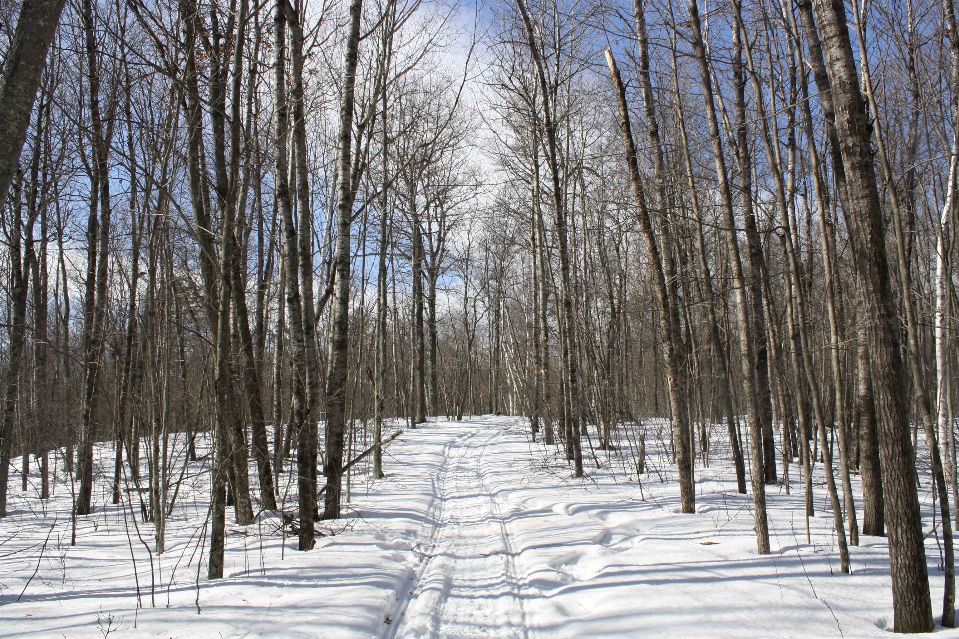 On W Rapids Lake Tomahawk, WI 54539 - Photo 4 of 56