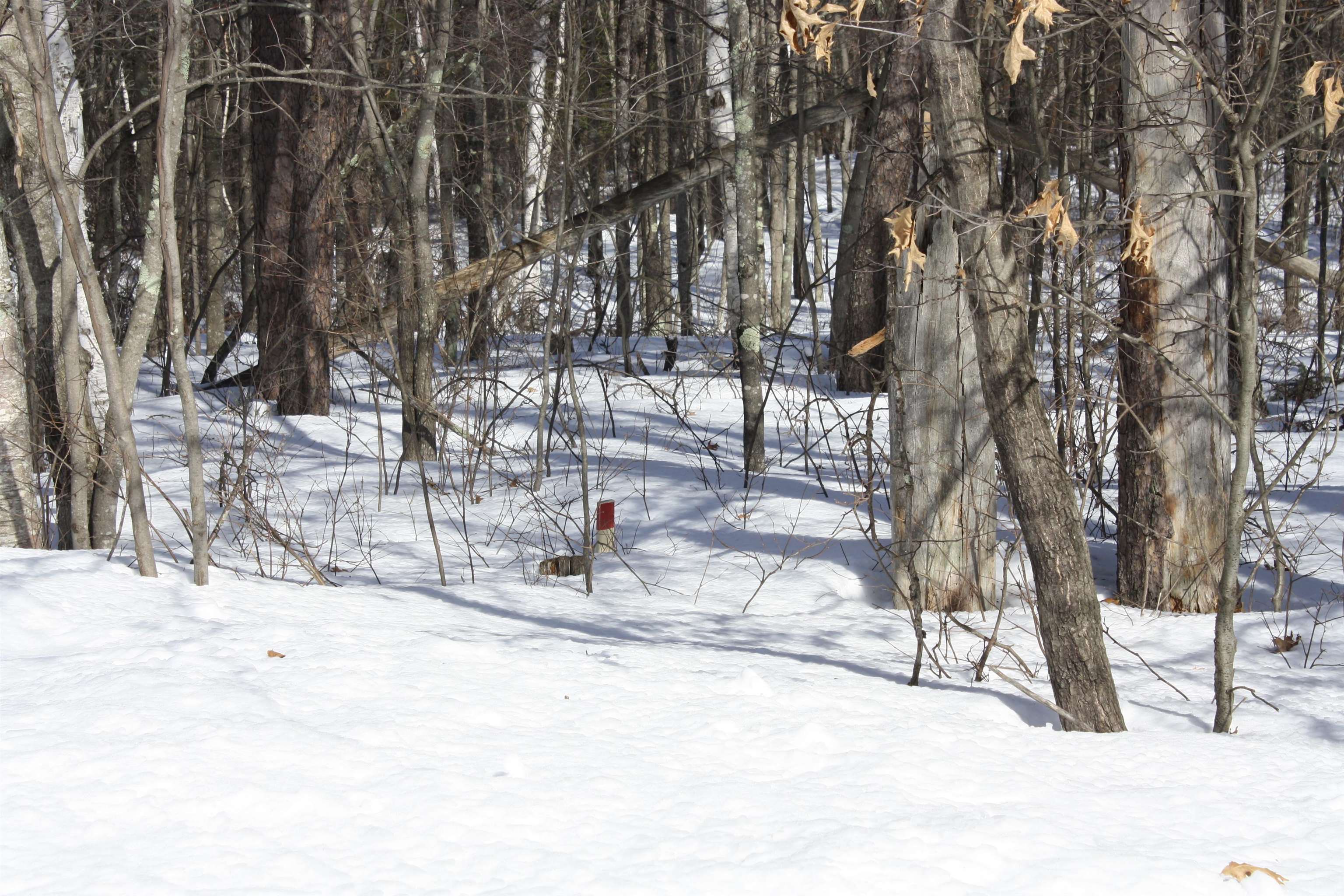 On W Rapids Lake Tomahawk, WI 54539 - Photo 41 of 56