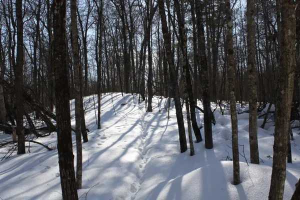 $600,000 | On W Rapids, Lake Tomahawk, WI 54539