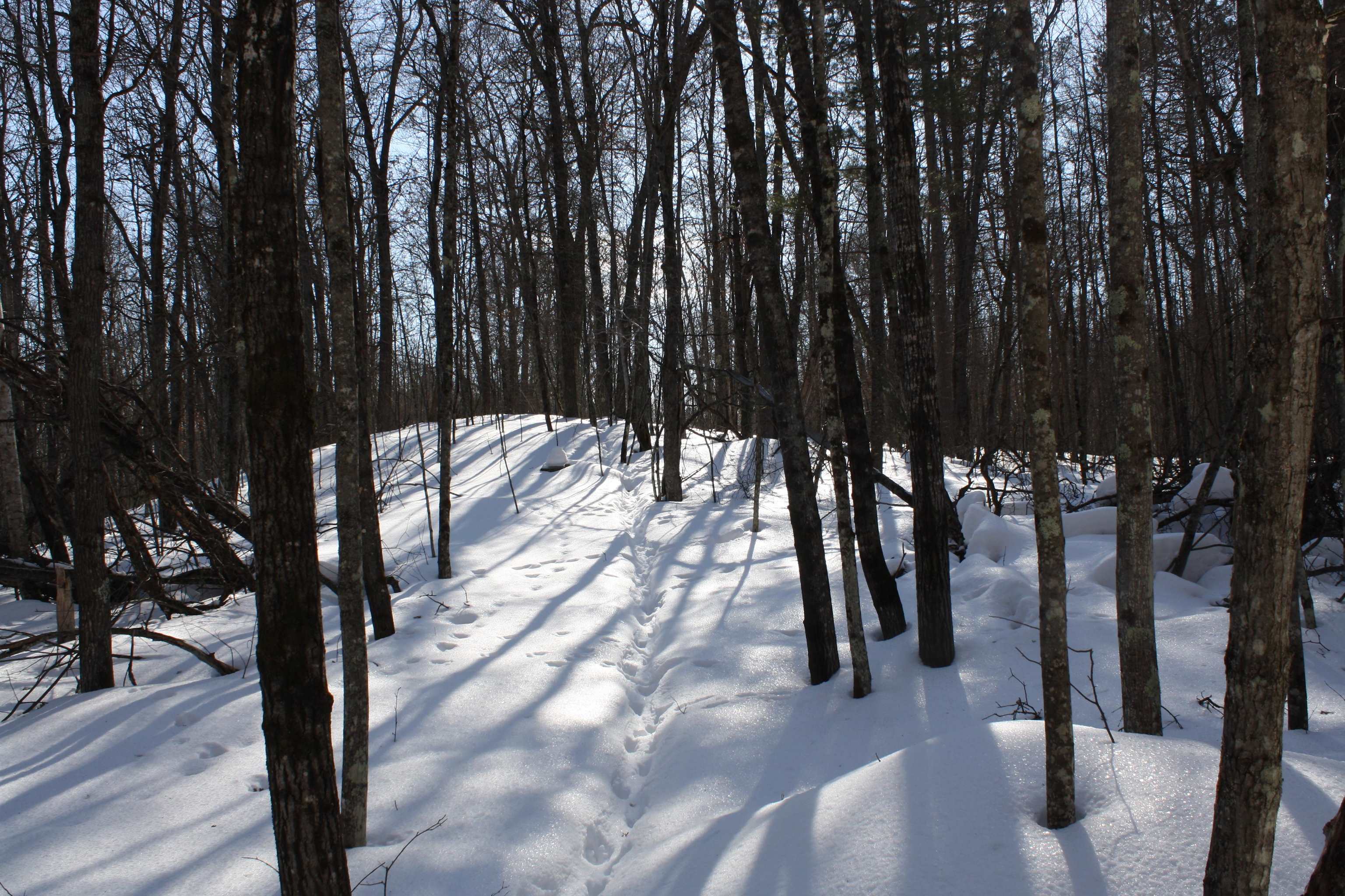 On W Rapids Lake Tomahawk, WI 54539 - Photo 48 of 56
