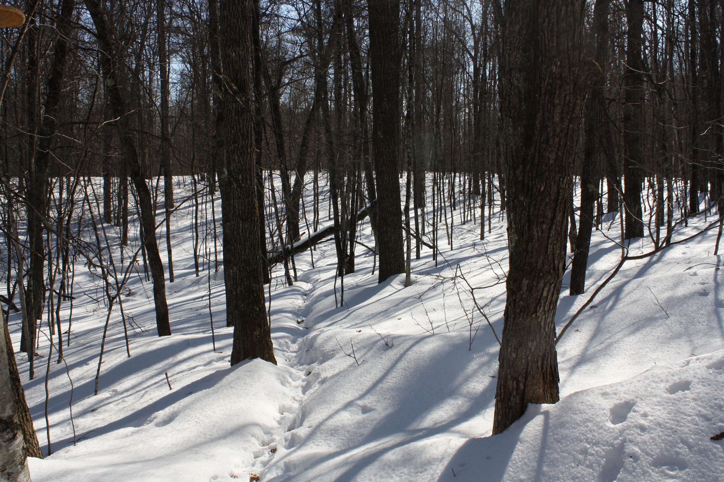 On W Rapids Lake Tomahawk, WI 54539 - Photo 49 of 56