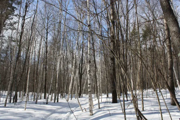 $600,000 | On W Rapids, Lake Tomahawk, WI 54539