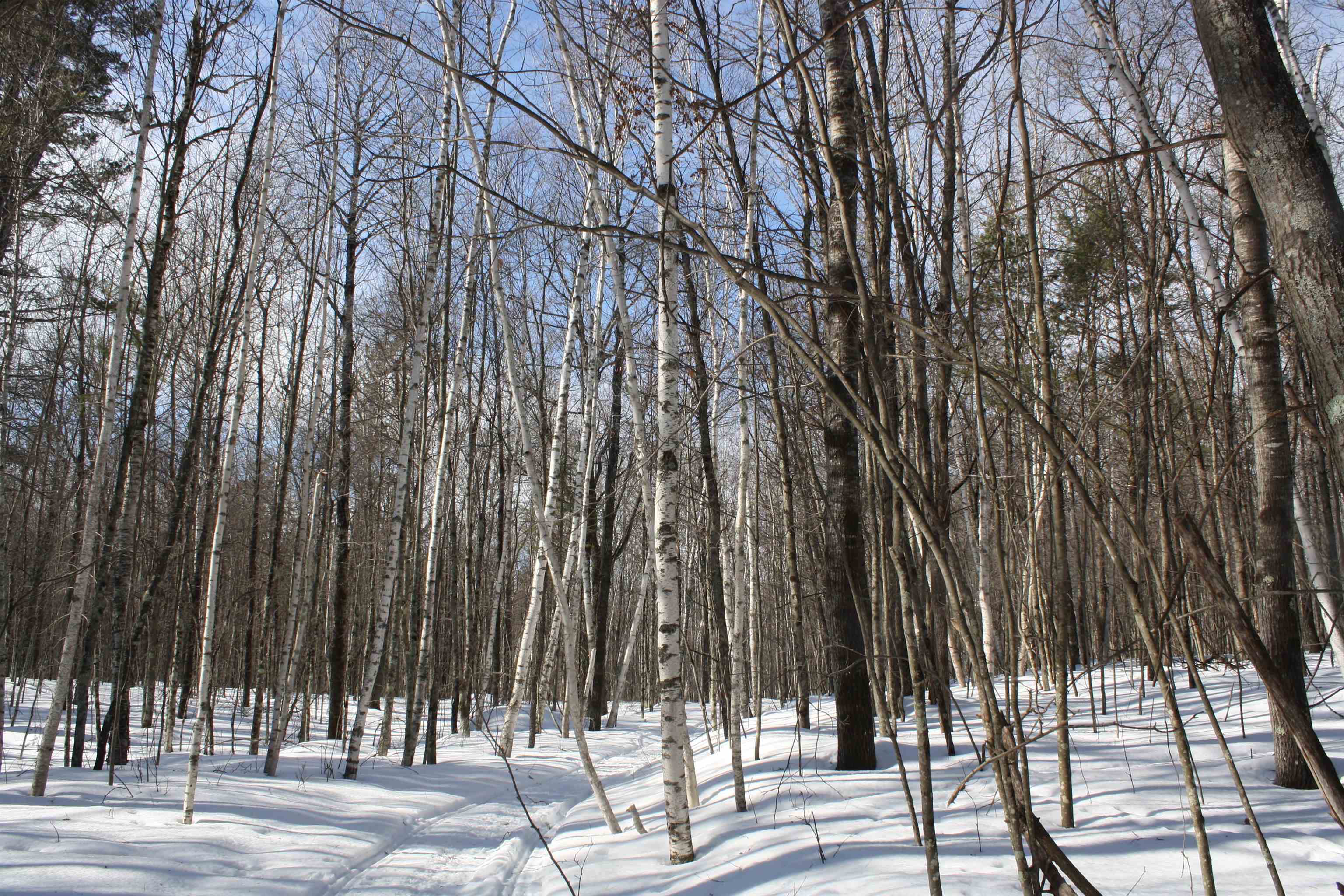 On W Rapids Lake Tomahawk, WI 54539 - Photo 50 of 56