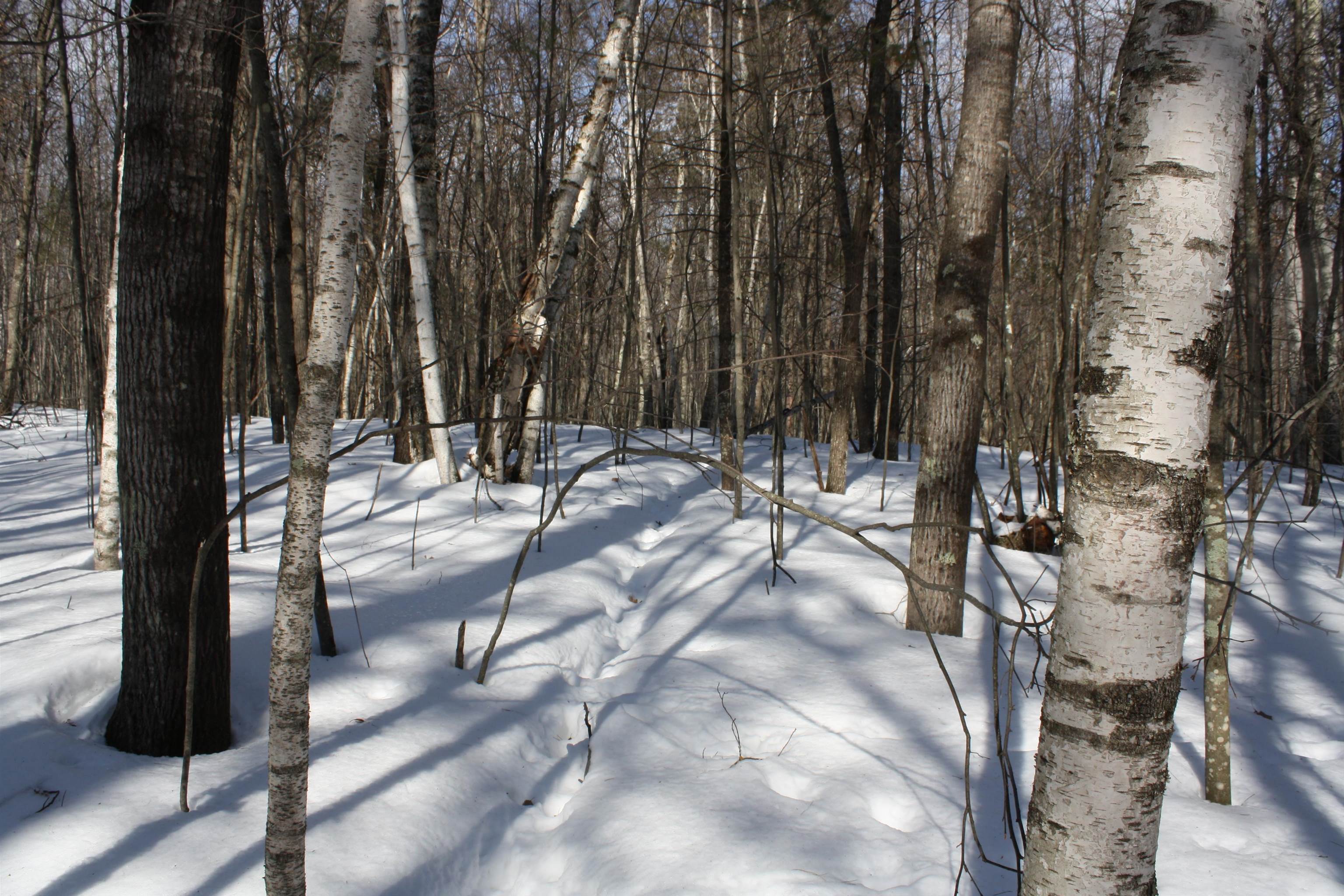 On W Rapids Lake Tomahawk, WI 54539 - Photo 51 of 56