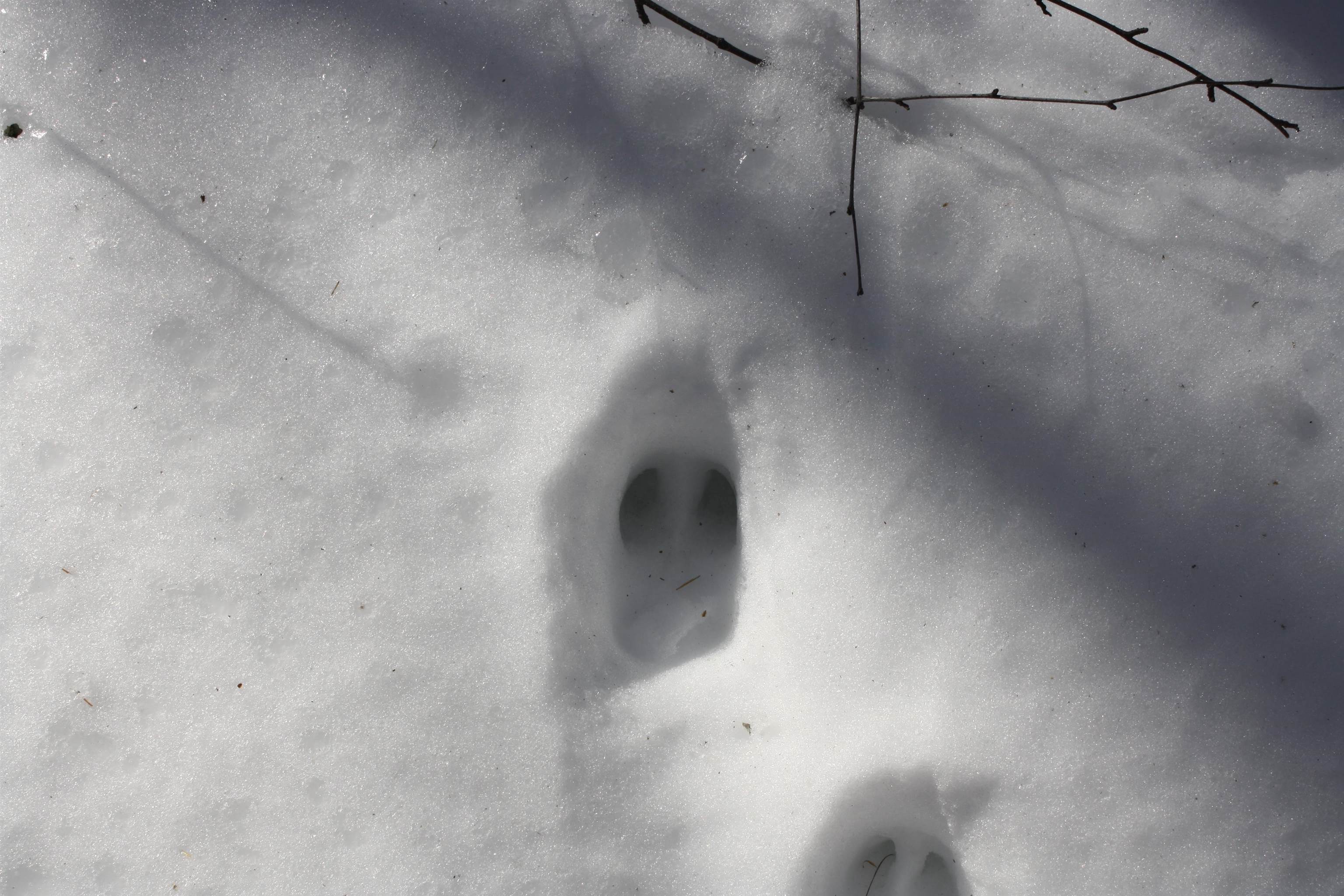 On W Rapids Lake Tomahawk, WI 54539 - Photo 52 of 56