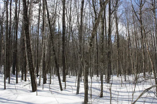 $600,000 | On W Rapids, Lake Tomahawk, WI 54539