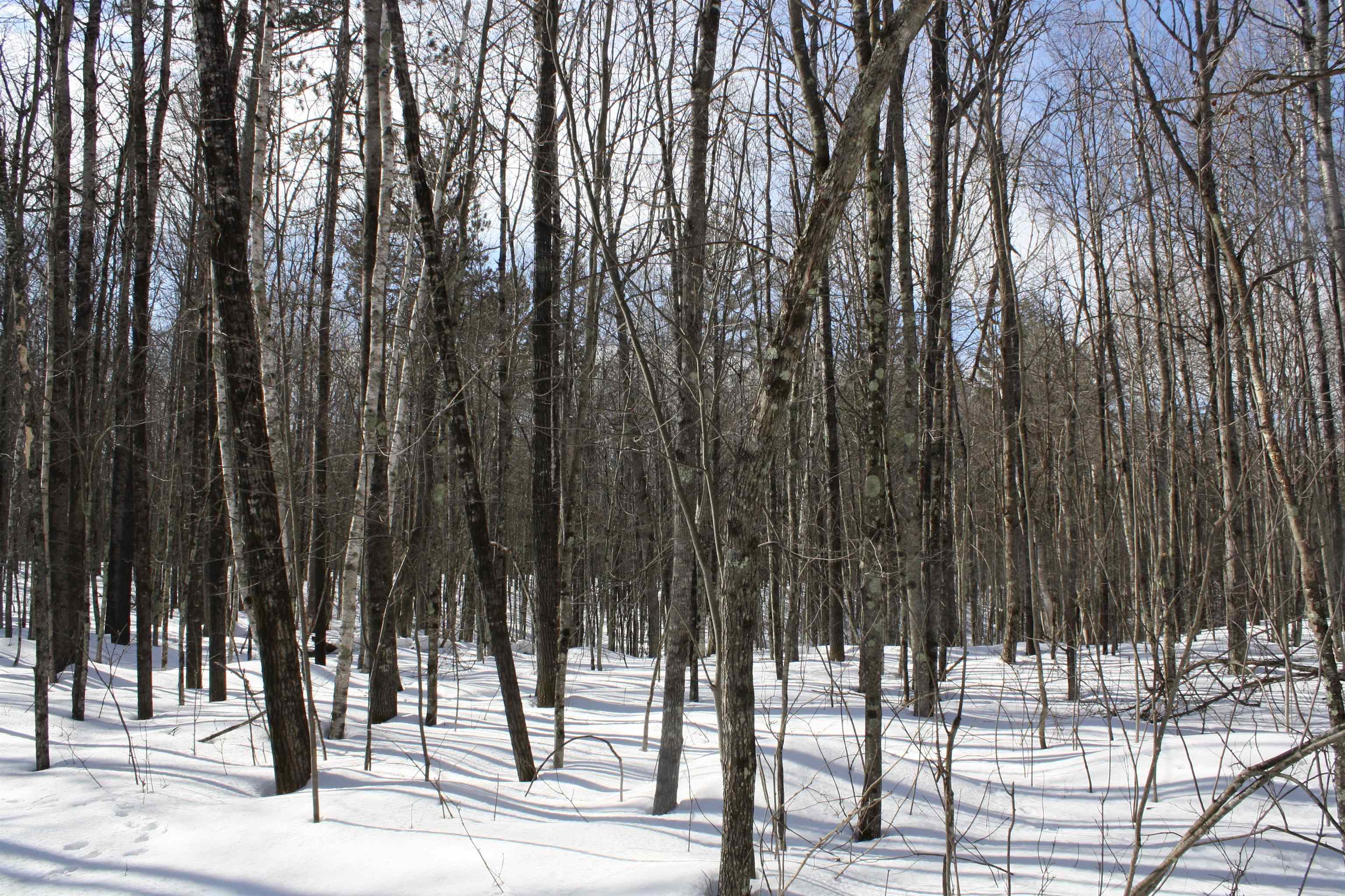 On W Rapids Lake Tomahawk, WI 54539 - Photo 54 of 56