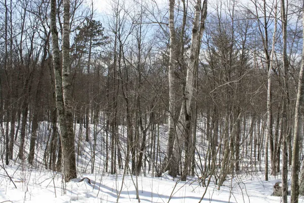 $600,000 | On W Rapids, Lake Tomahawk, WI 54539