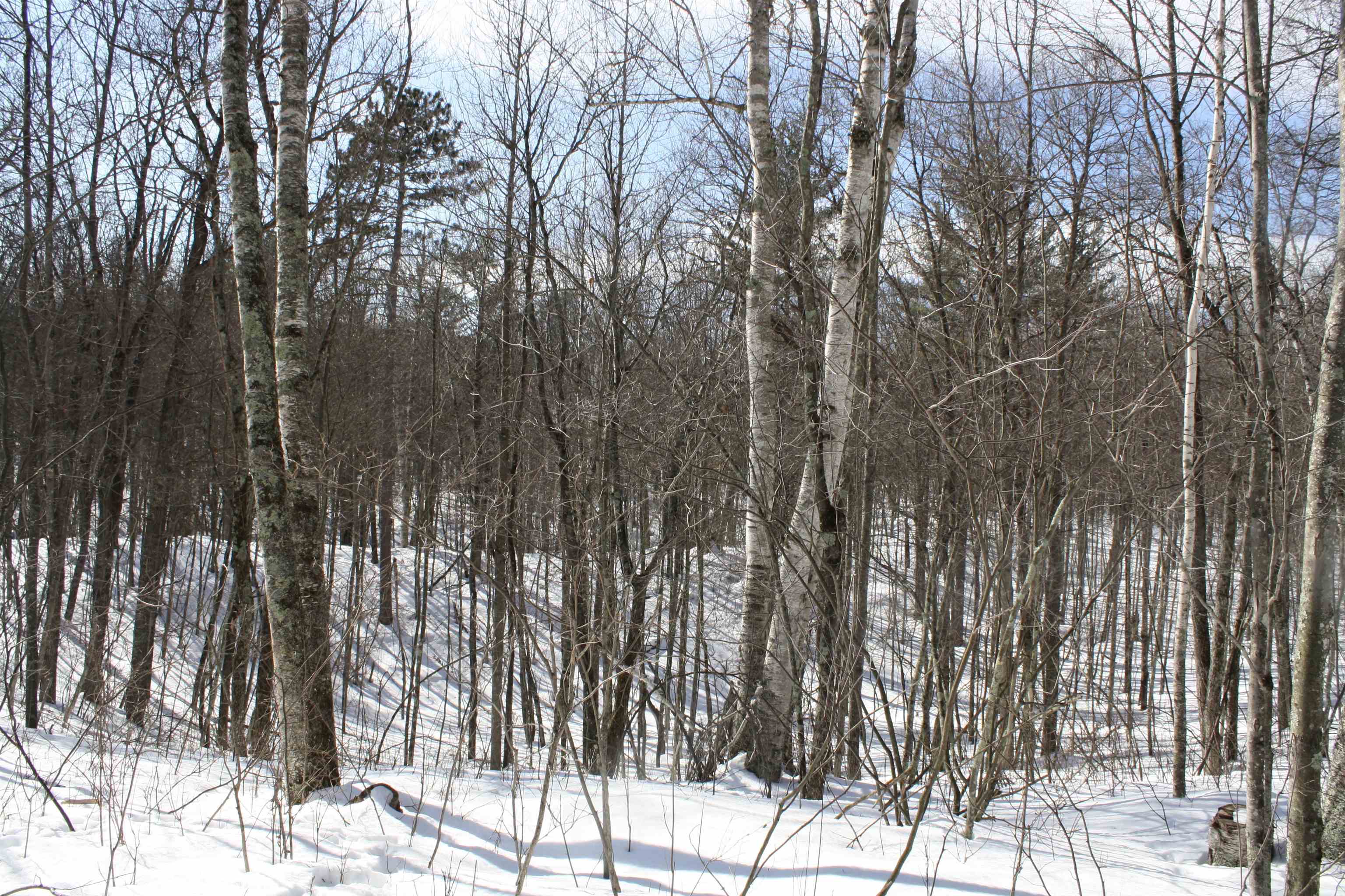 On W Rapids Lake Tomahawk, WI 54539 - Photo 55 of 56