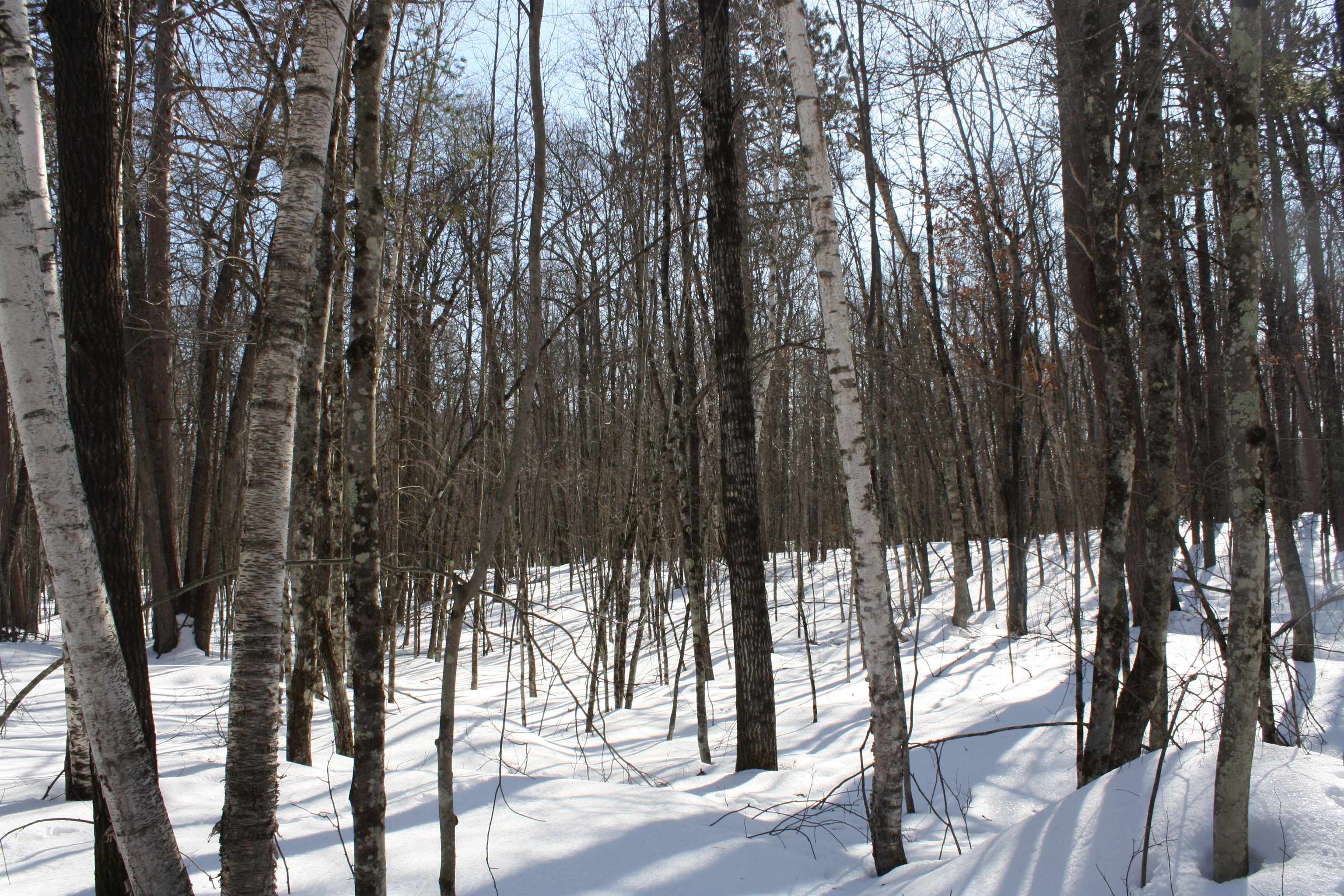 On W Rapids Lake Tomahawk, WI 54539 - Photo 6 of 56