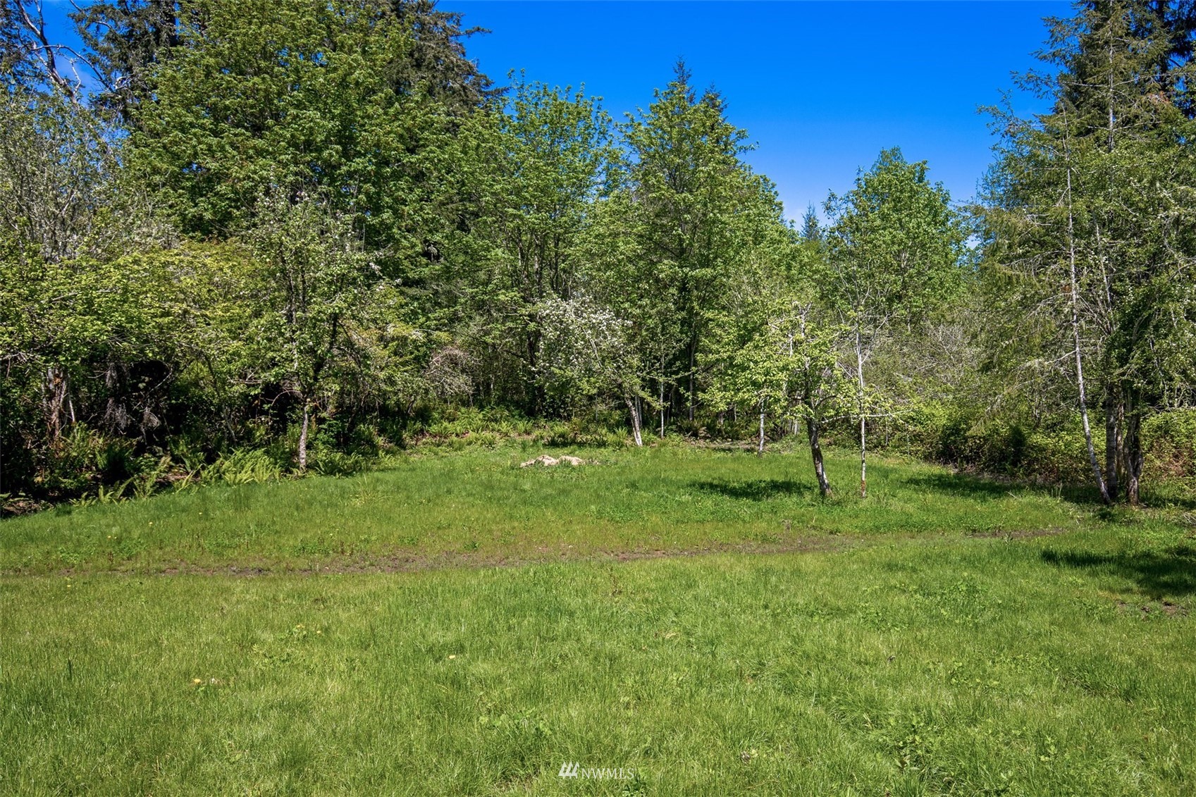 17305 Hall Road Northwest Vaughn, WA 98394 - Photo 27 of 30 a view of a green field with lots of bushes
