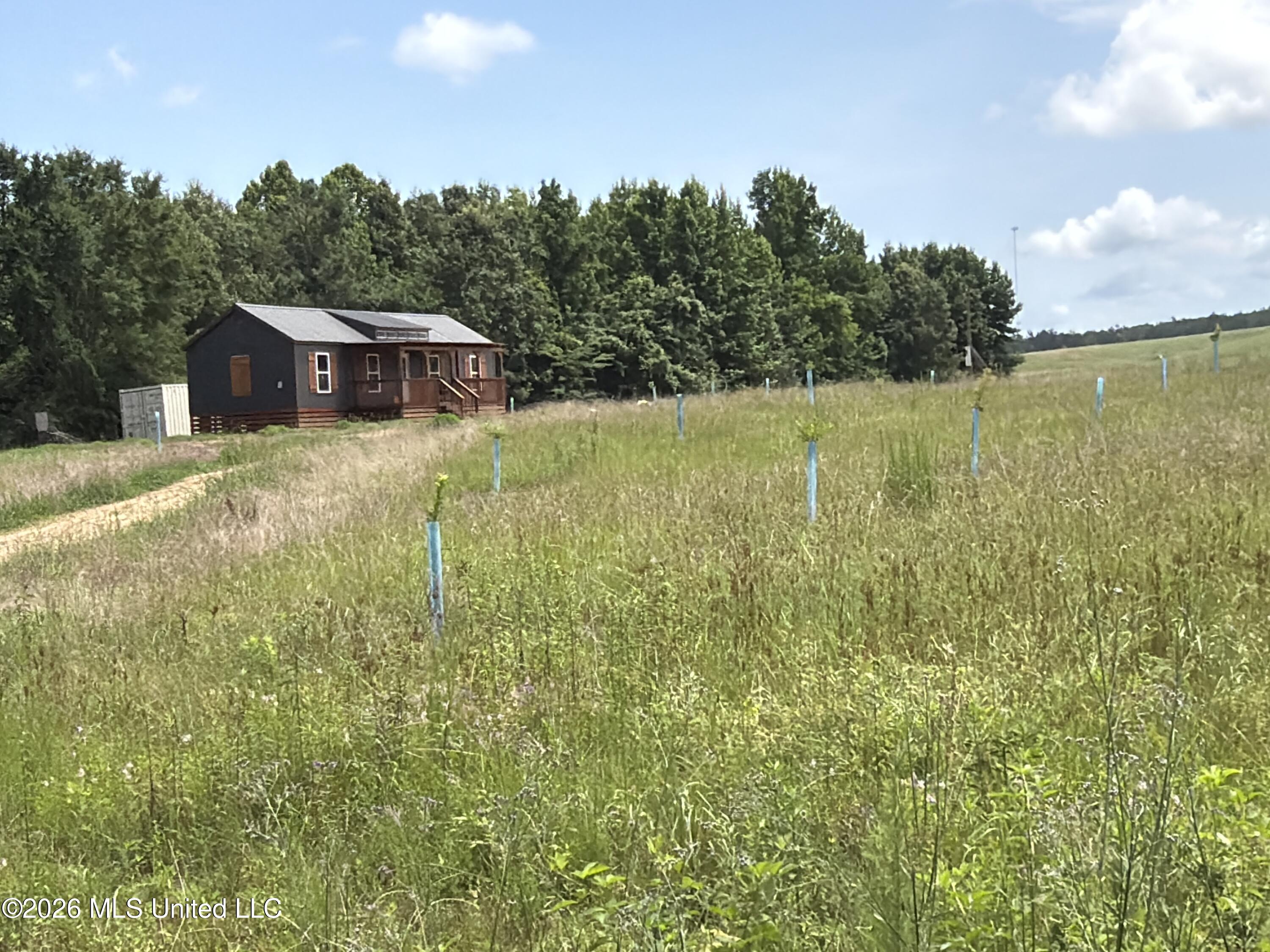 4267 Race Track Road West, MS 39192 - Photo 23 of 57 IMG_1268