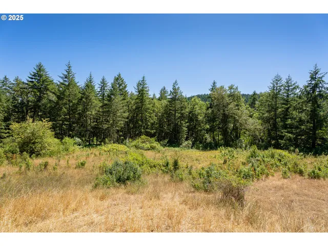 $480,000 | 670 Old Homestead Drive, Oakland, OR 97462