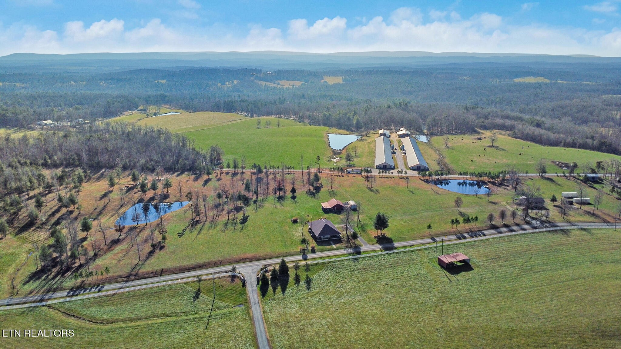 1275 Twin Bridge Road Deer Lodge, TN 37726 - Photo 13 of 47 Gallery Image 13
