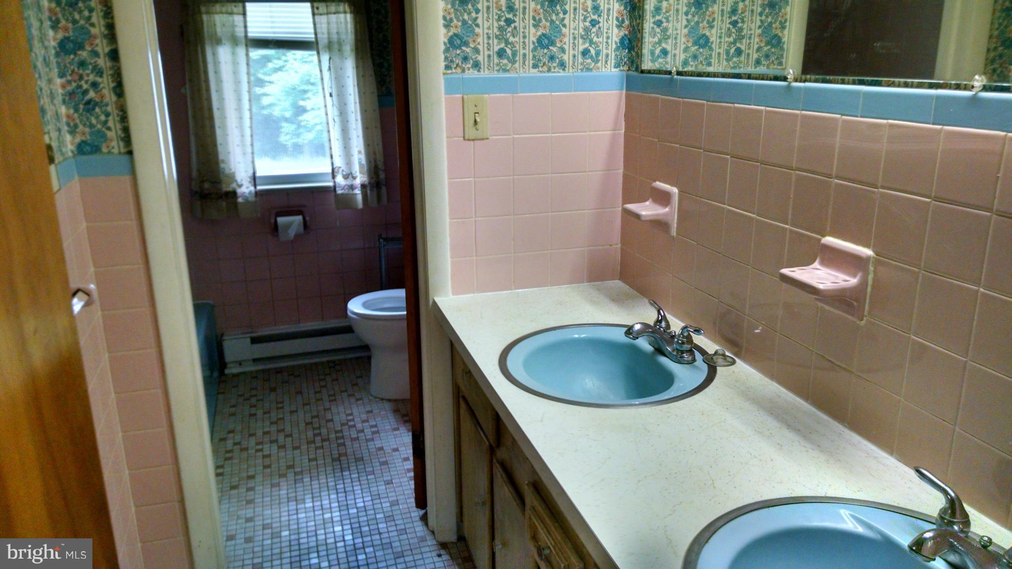 1161 Appleton Road Elkton, MD 21921 - Photo 12 of 13 Bath
