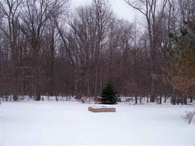 24601 31 Mile Road Ray, MI 48096 - Photo 6 of 8 31041118-5.JPG
