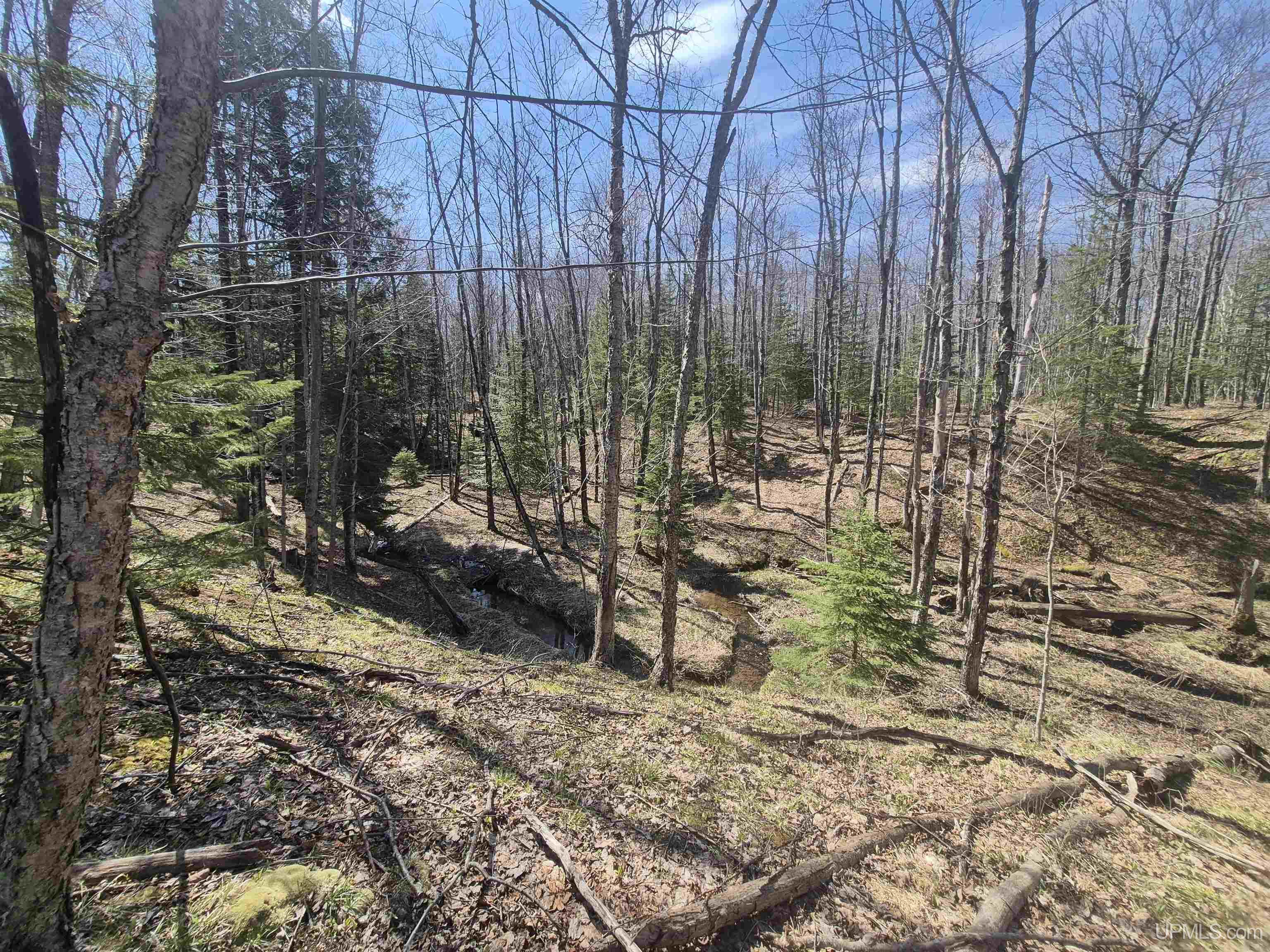 12-acres Salmon Road L'Anse, MI 49946 - Photo 23 of 39