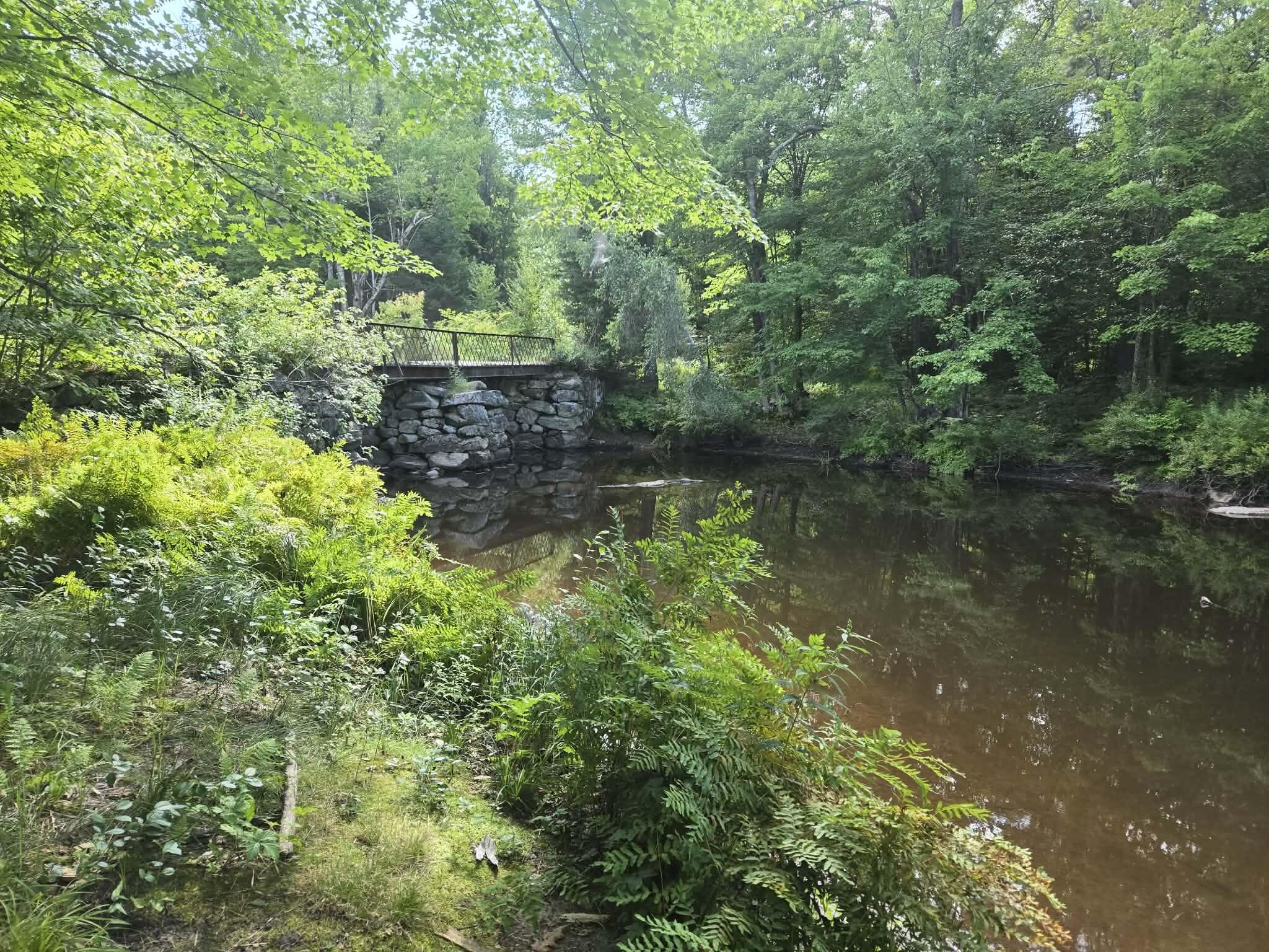 Lot12 River Road, Unit LOT 12 Sumner, ME 04292 - Photo 2 of 16 d237da59-d0fa-4baf-8750-a377ce494dde