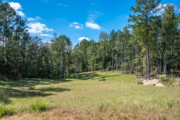 a view of backyard with green space