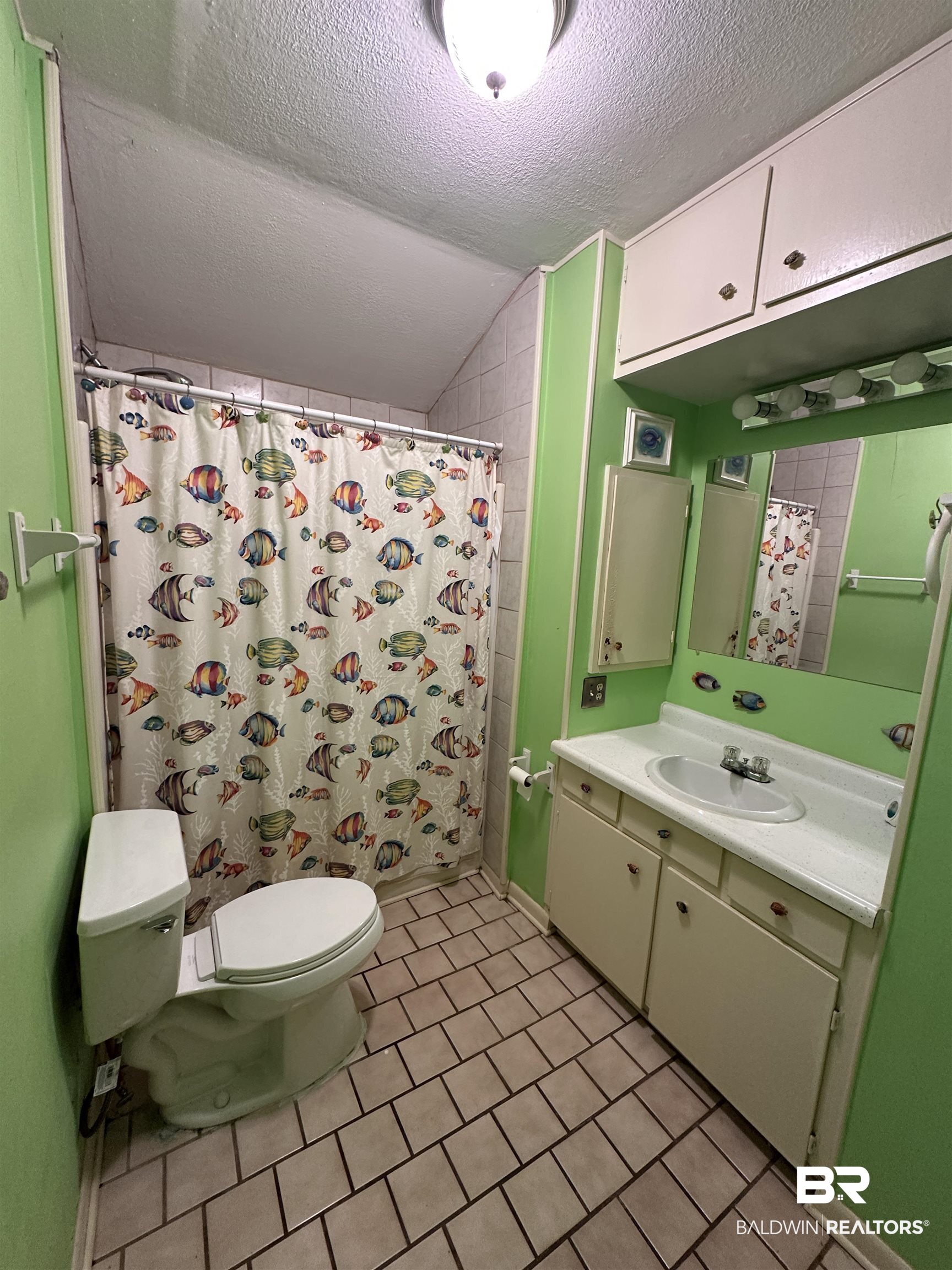 16646 County Road 26 Foley, AL 36535 - Photo 13 of 21 Bathroom featuring lofted ceiling, toilet, a textured ceiling, vanity, and a shower with shower curtain