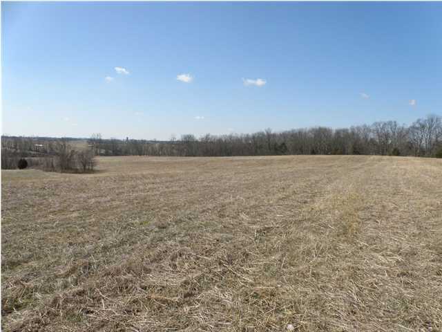 100 Little Union Road, Unit T Fairfield, KY 40020 - Photo 3 of 3 Additional Photo