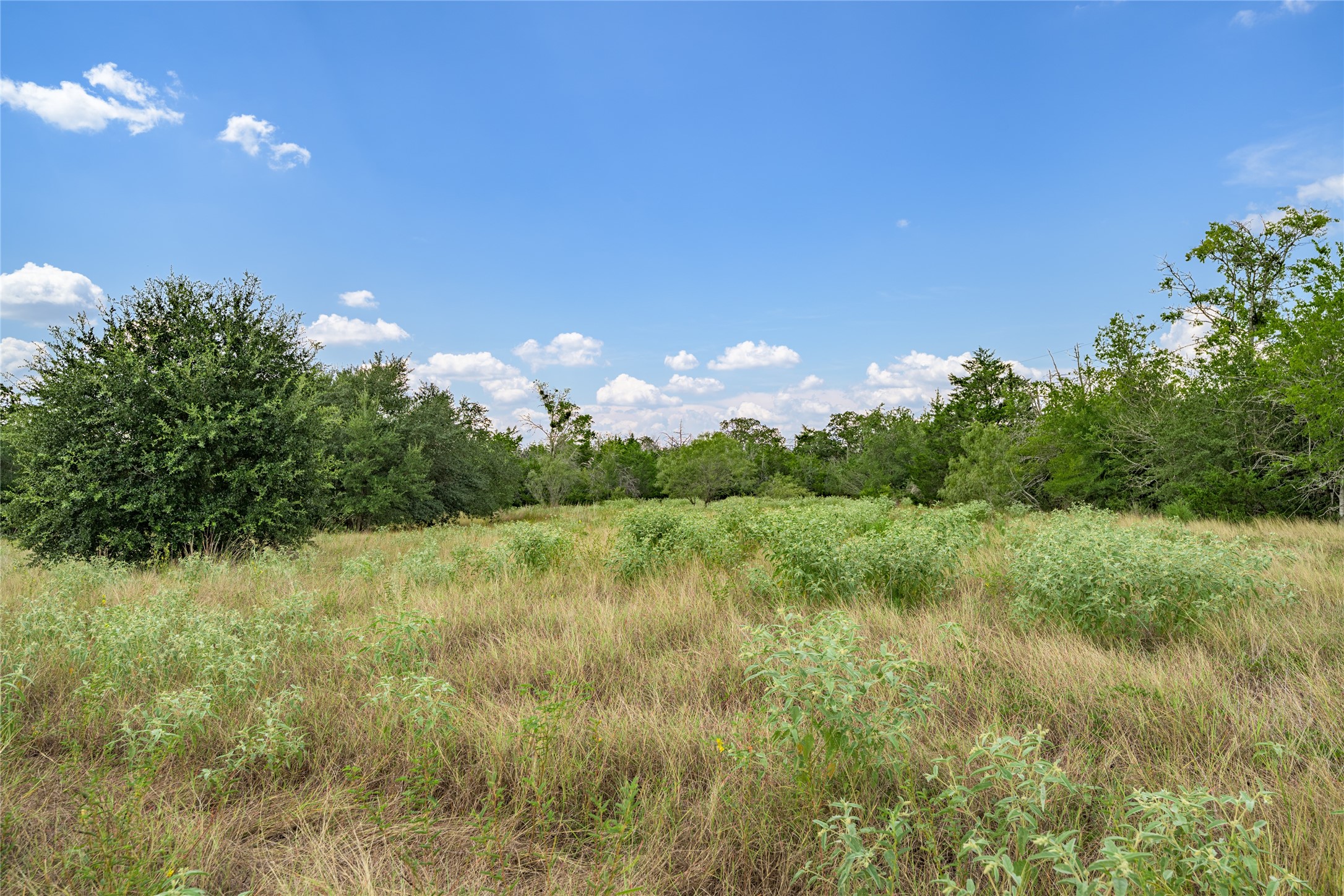 10842 Rauch Road Ledbetter, TX 78946 - Photo 12 of 24