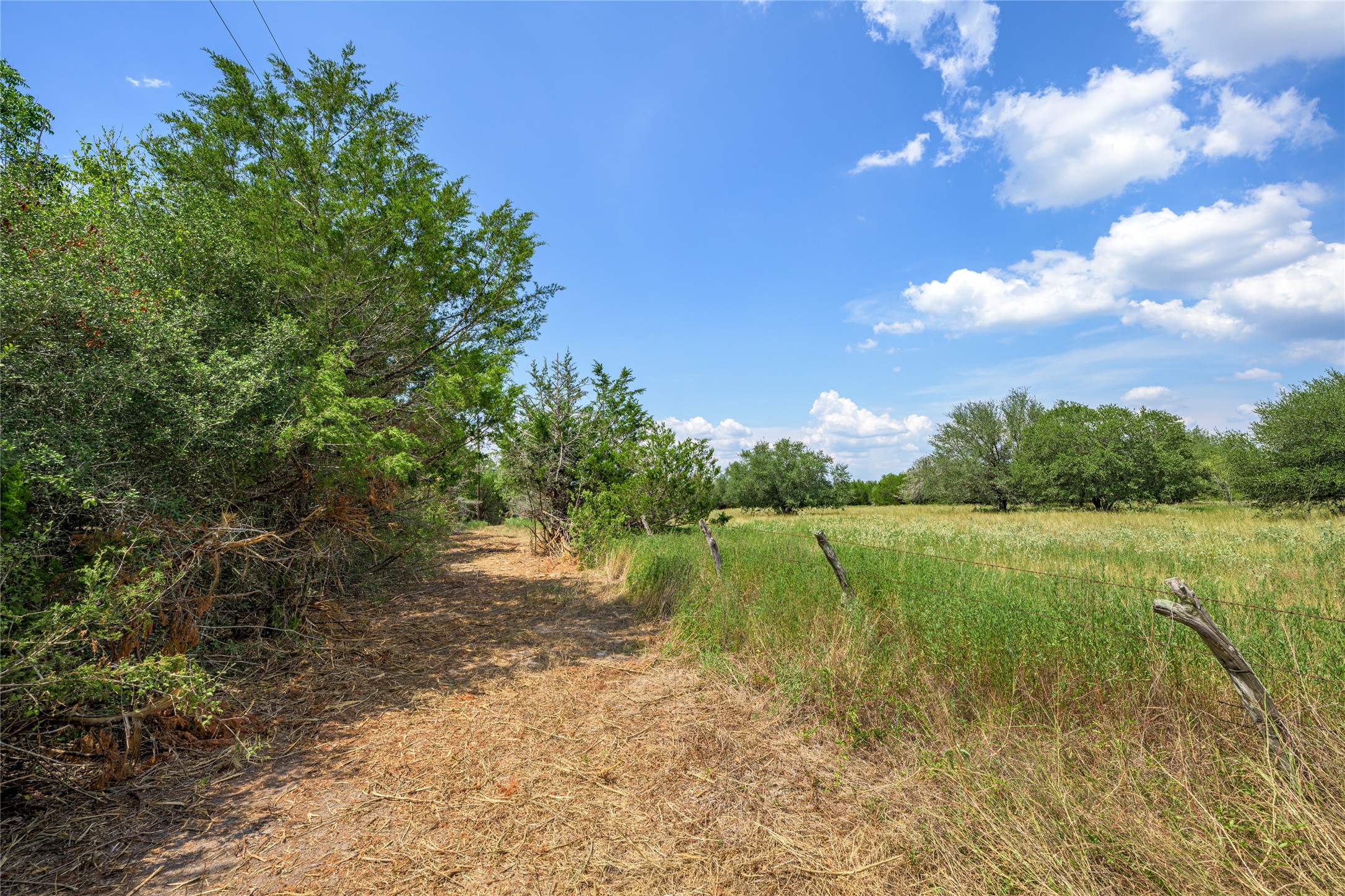 10842 Rauch Road Ledbetter, TX 78946 - Photo 13 of 24