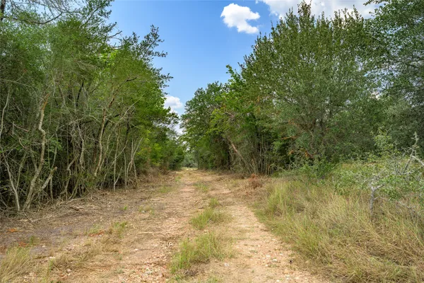 a view of a yard with an outdoor space and hardwood