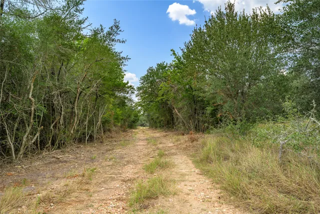 a view of a yard with an outdoor space and hardwood