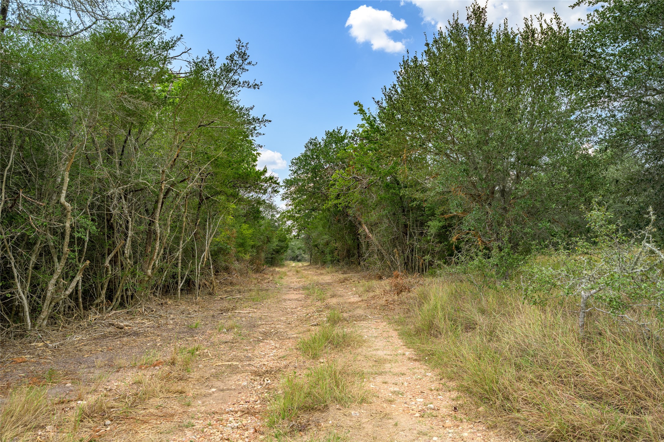 10842 Rauch Road Ledbetter, TX 78946 - Photo 16 of 24