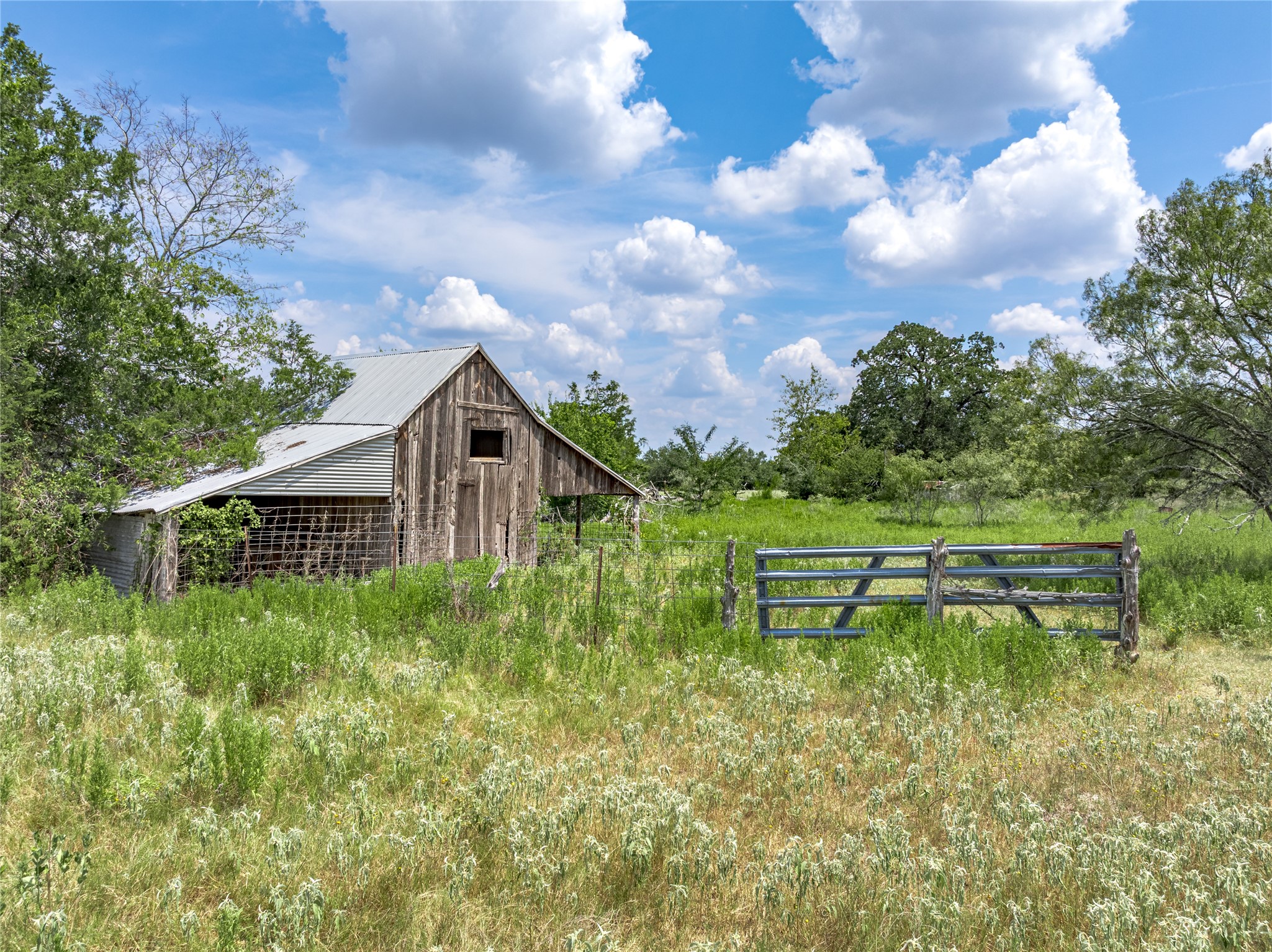 10842 Rauch Road Ledbetter, TX 78946 - Photo 18 of 24