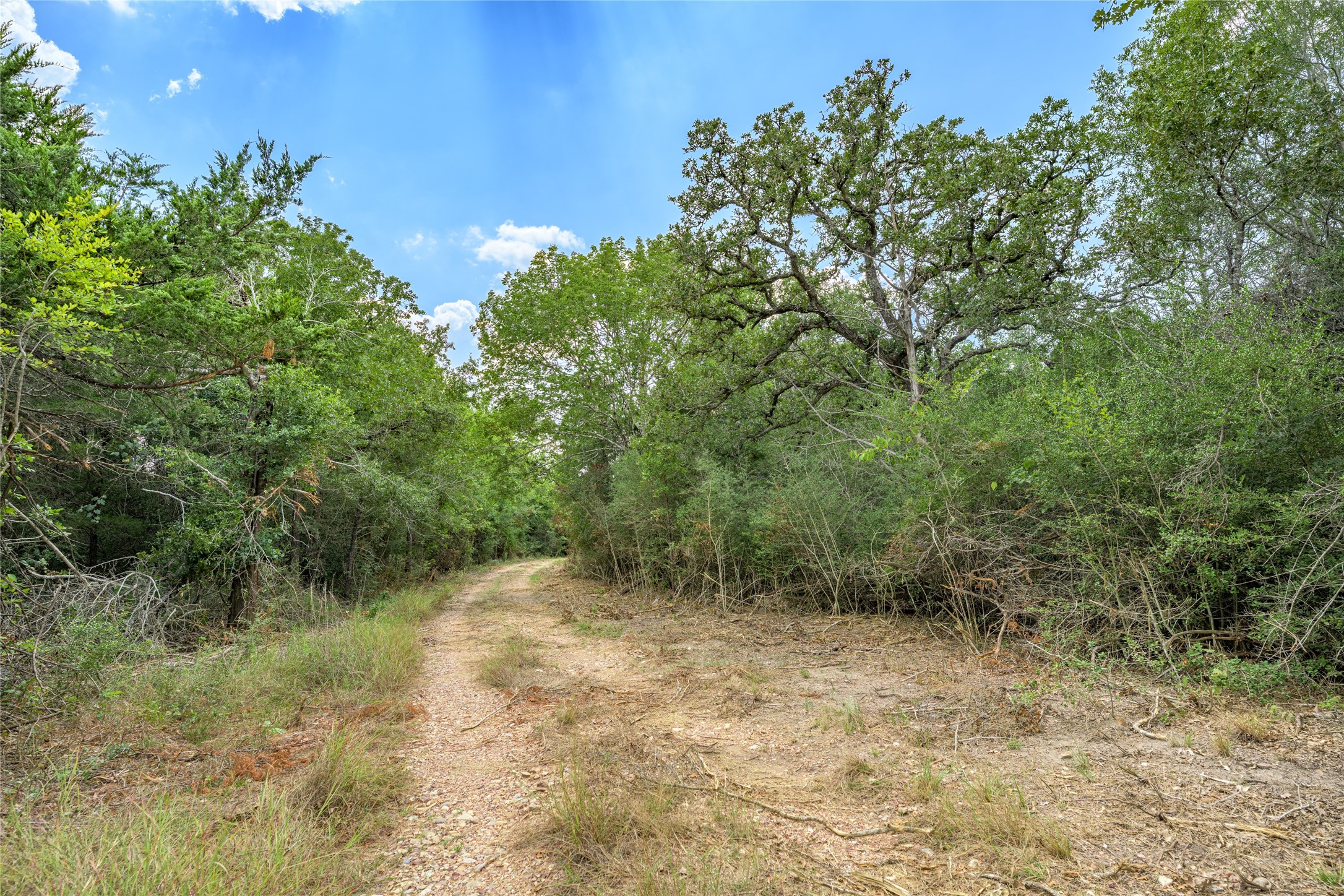 10842 Rauch Road Ledbetter, TX 78946 - Photo 20 of 24