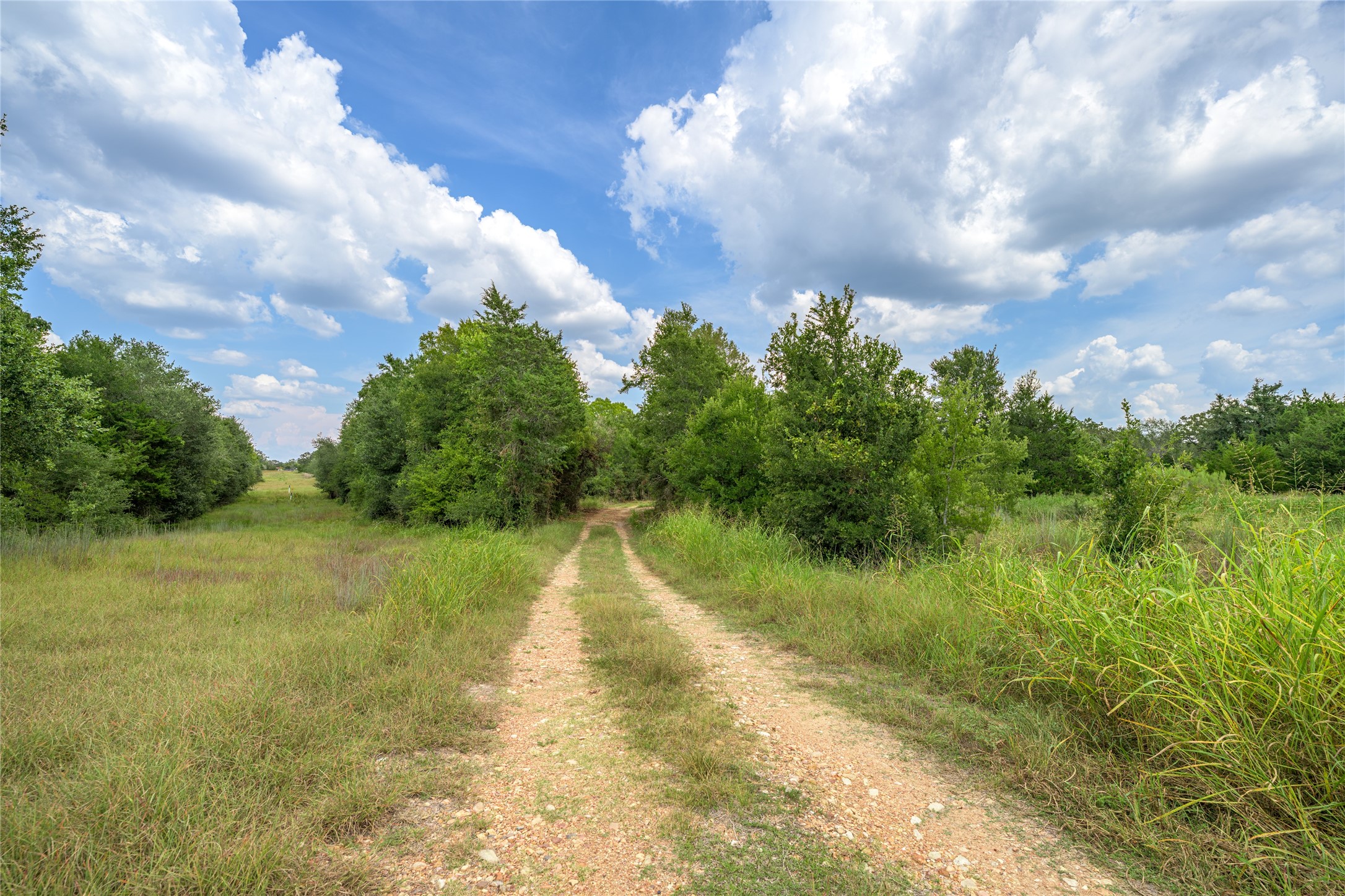 10842 Rauch Road Ledbetter, TX 78946 - Photo 21 of 24