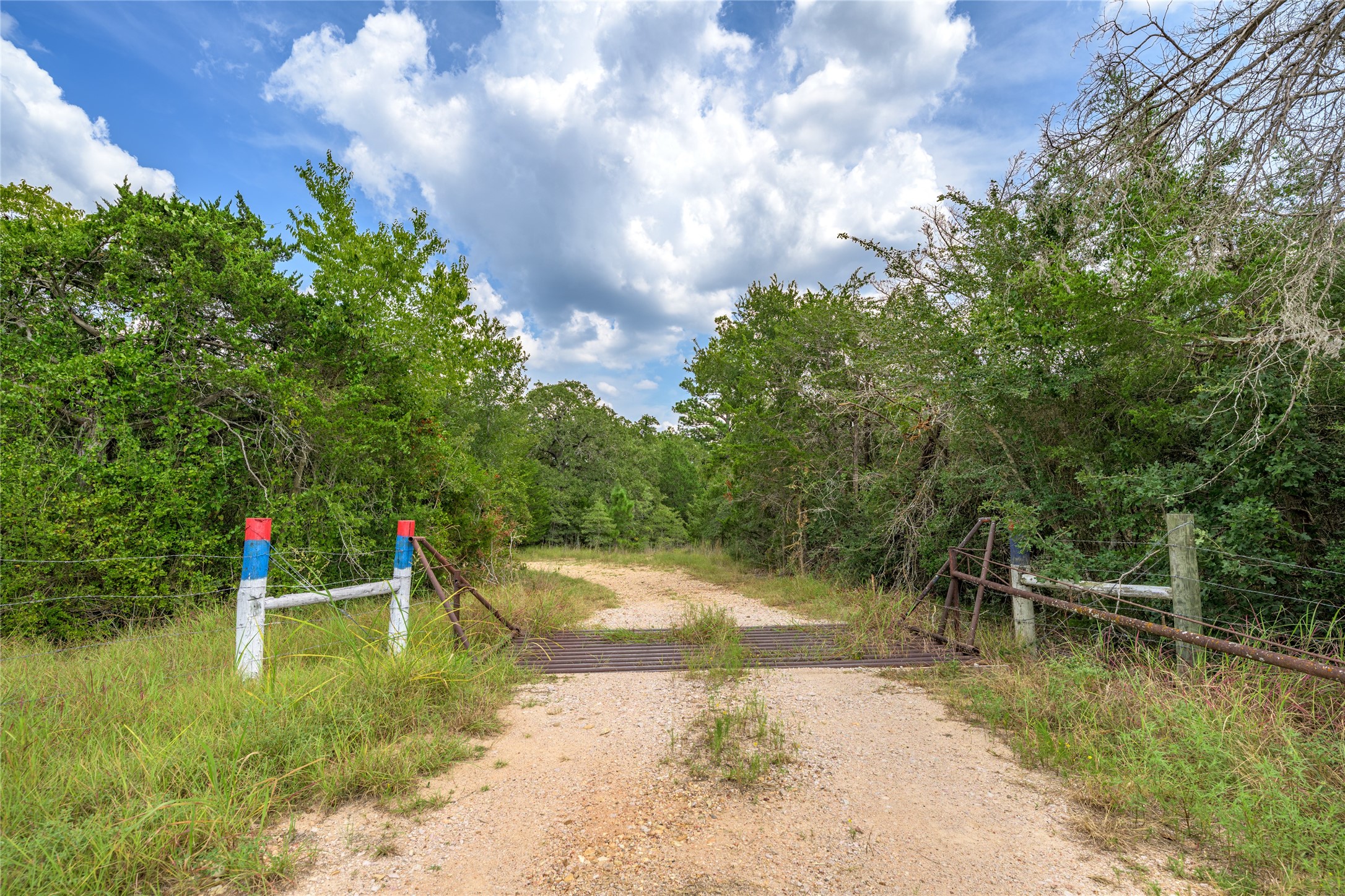 10842 Rauch Road Ledbetter, TX 78946 - Photo 22 of 24
