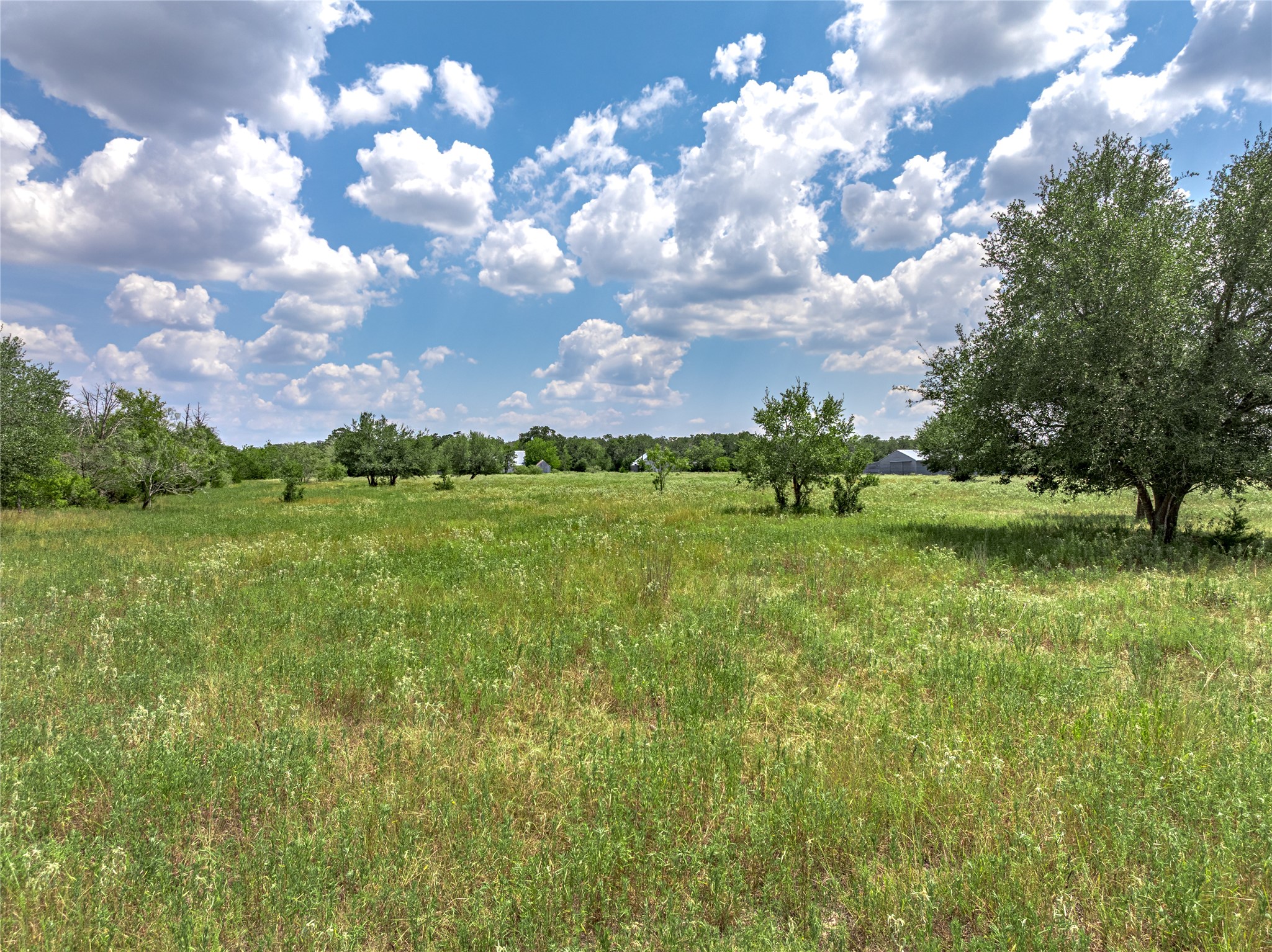 10842 Rauch Road Ledbetter, TX 78946 - Photo 24 of 24