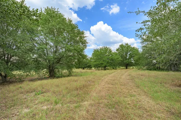 a view of a big yard with trees in the background